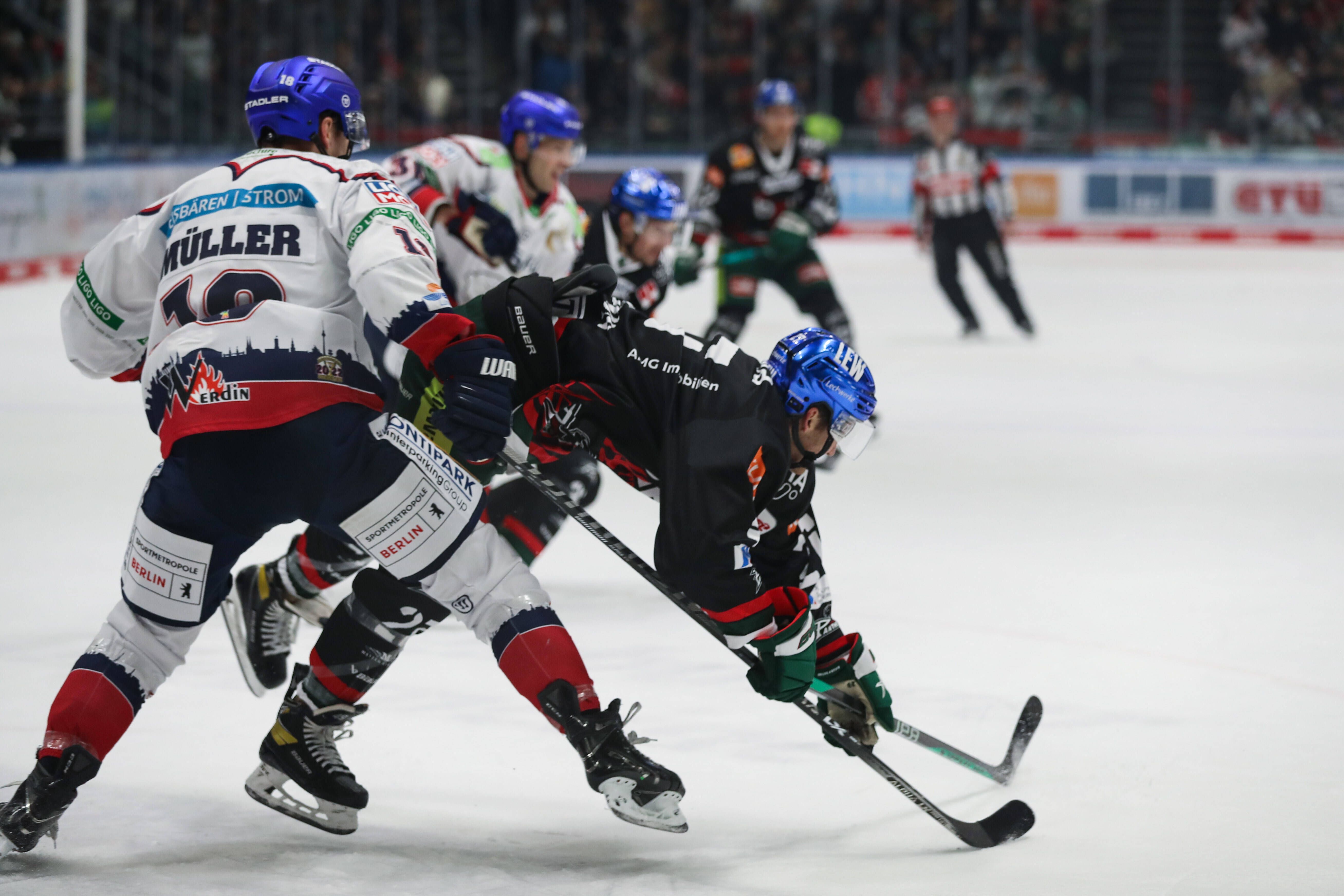 Image - Eisbären Berlin: Nach 15 Minuten Lächeln soll die nächste Beiß-Attacke folgen