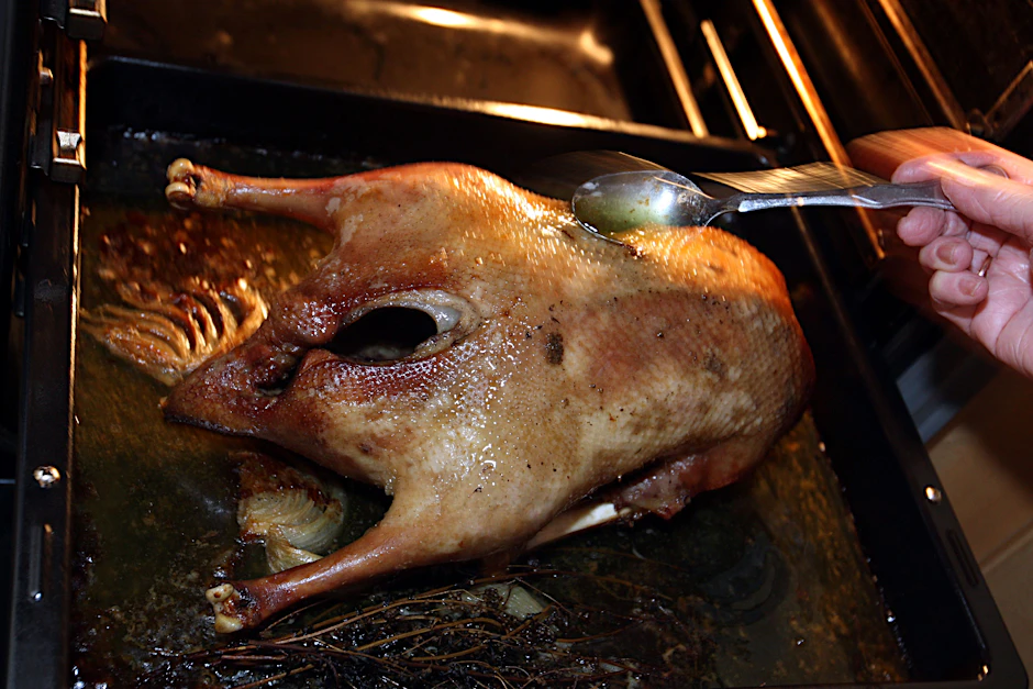 Im Ofen lässt ein Gänsebraten ordentlich viel Fett ab. Das gehört aber weder ins Klo noch in den Ausguss.