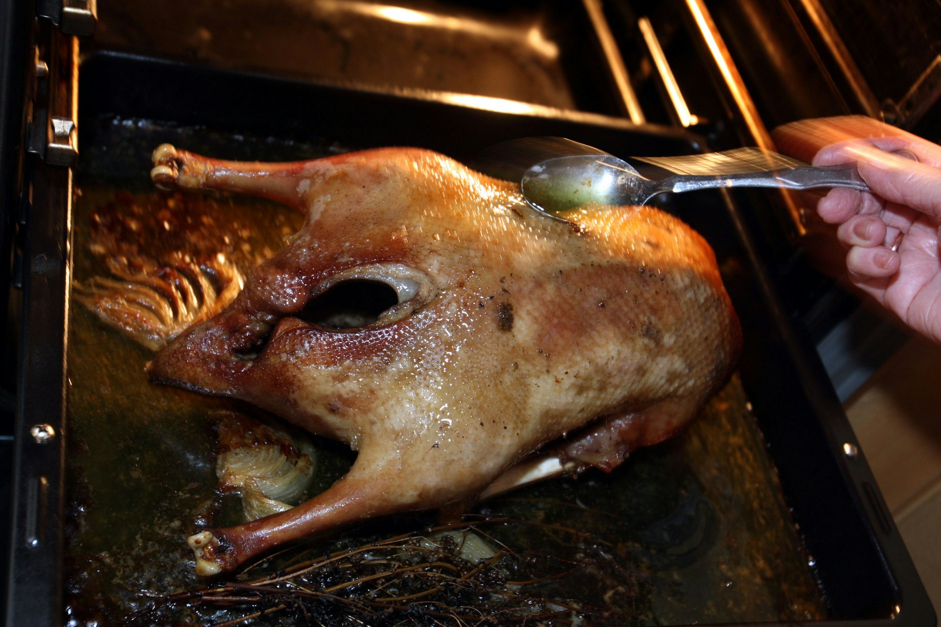 Im Ofen lässt ein Gänsebraten ordentlich viel Fett ab. Das gehört aber weder ins Klo noch in den Ausguss.