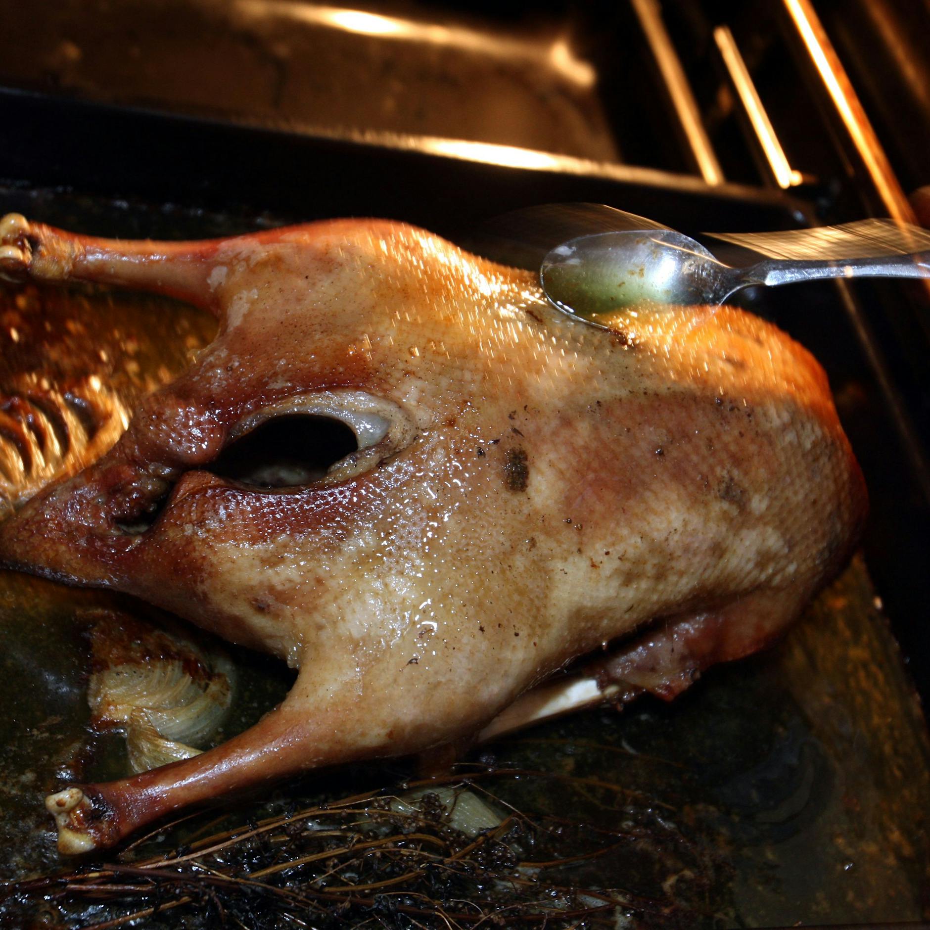 Vorne lecker Gänsebraten, hinten Ärger bei den Wasserbetrieben