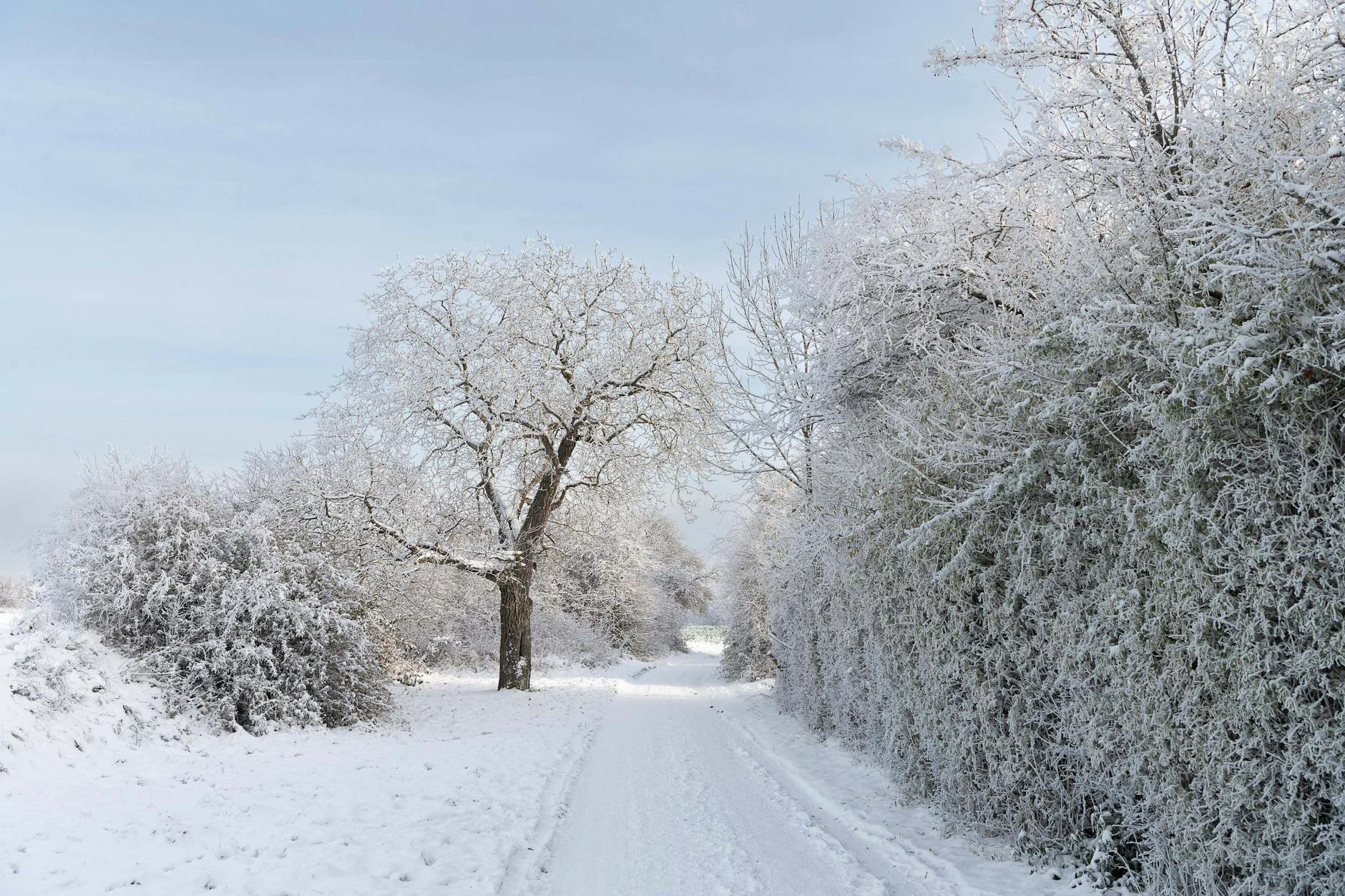 Zum Jahreswechsel könnte es schon wieder sehr kalt werden.