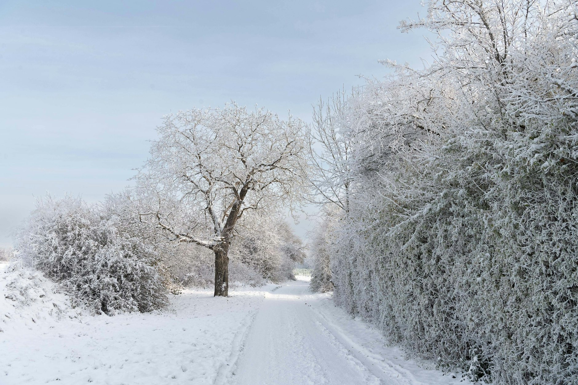 Zum Jahreswechsel könnte es schon wieder sehr kalt werden. 
