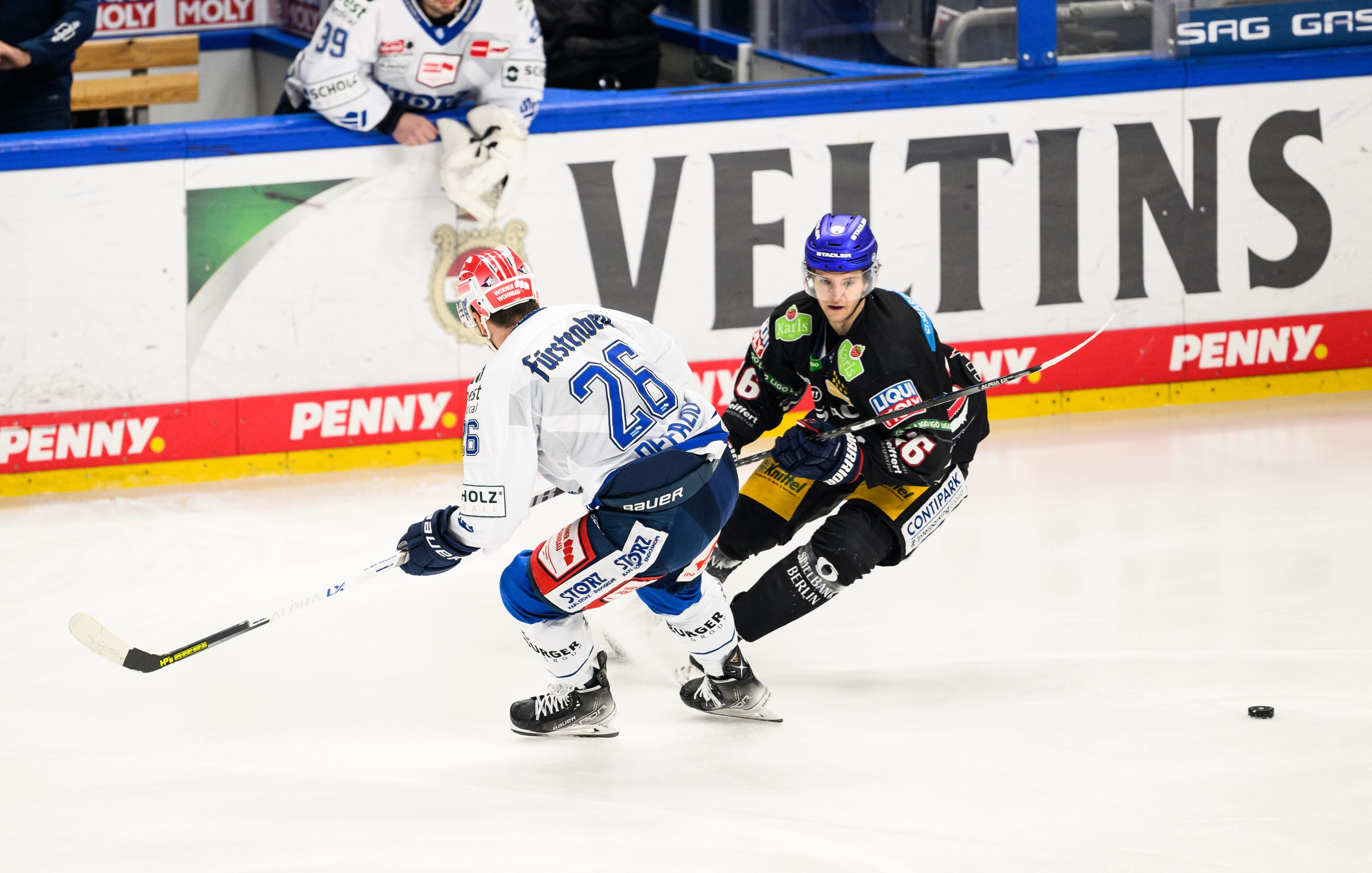 Image - Schock für Eisbären Berlin: Ex-NHL-Star Brendan Guhle (25) schmeißt hin - ab sofort!