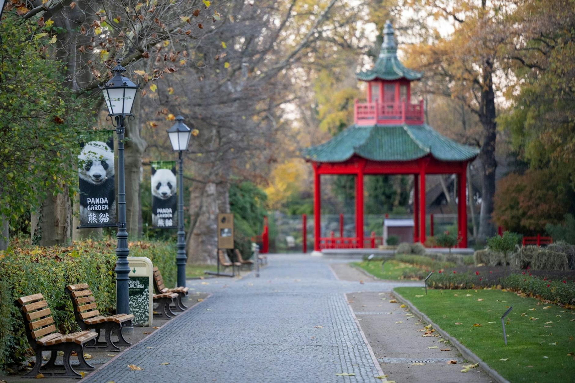 Seit dem 18. November herrscht gähnende Leere auf den Wegen des Zoos. Von Heiligabend an aber darf er wieder öffnen.