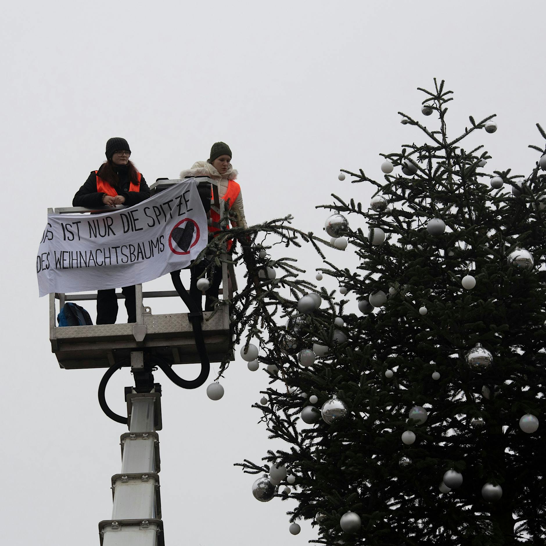 Nach Attacke auf Weihnachtsbaum: WARUM wir jetzt die „Letzte Generation“ doch lieben sollten