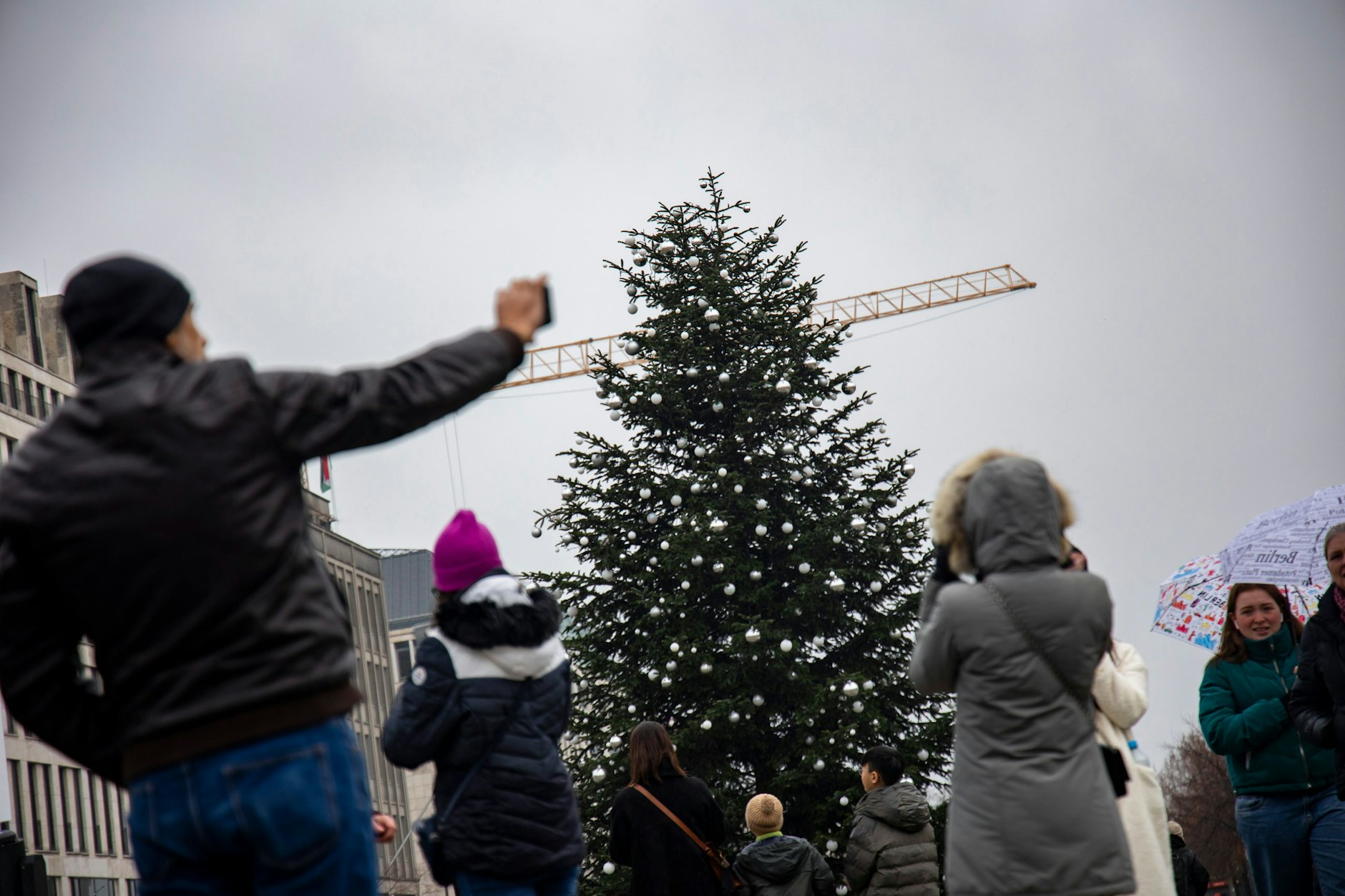Fast sieht der abgesägte Baum vor dem Brandenburger Tor ganz normal aus.