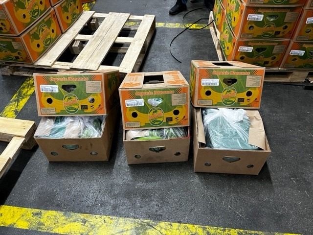 Image - 14 Kilo Kokain in Bananenkisten bei der Tafel für Arme aufgetaucht