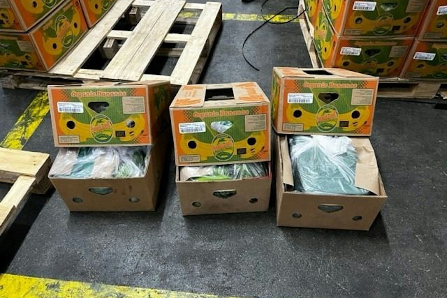 Der Zoll beschlagnahmt in Duisburg 635 Kilogramm Kokain.&nbsp;