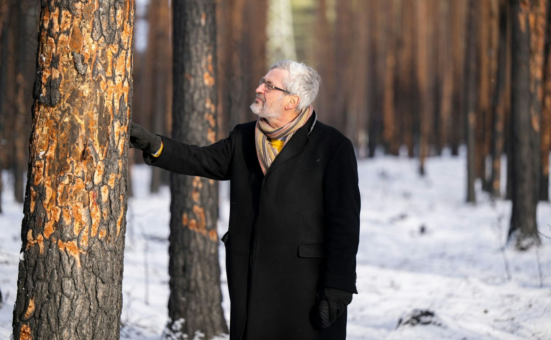 Axel Vogel (Bündnis 90/Die Grünen).  d