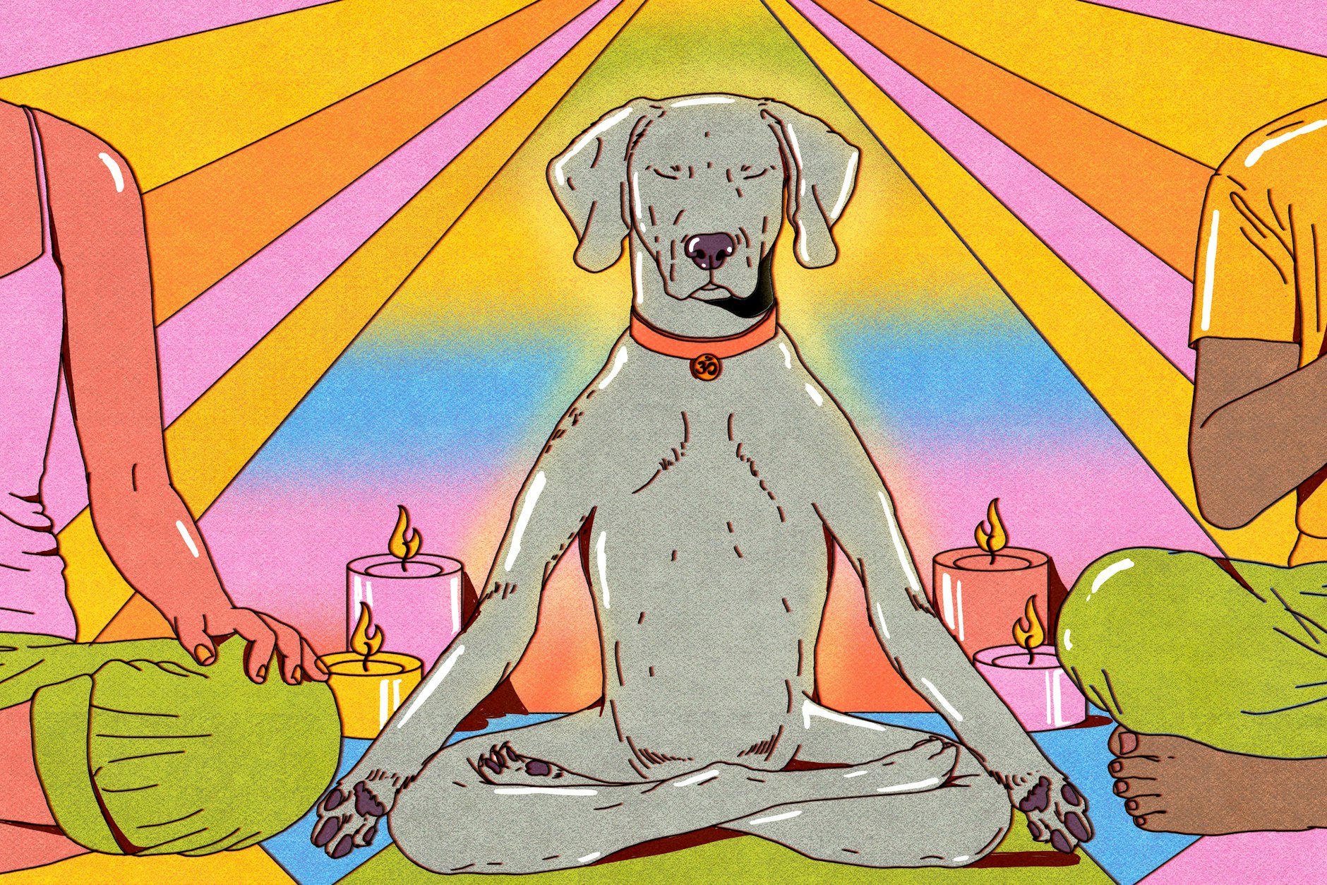 Der Weimaraner unseres Autors hat vor ein paar Wochen begonnen zu meditieren.