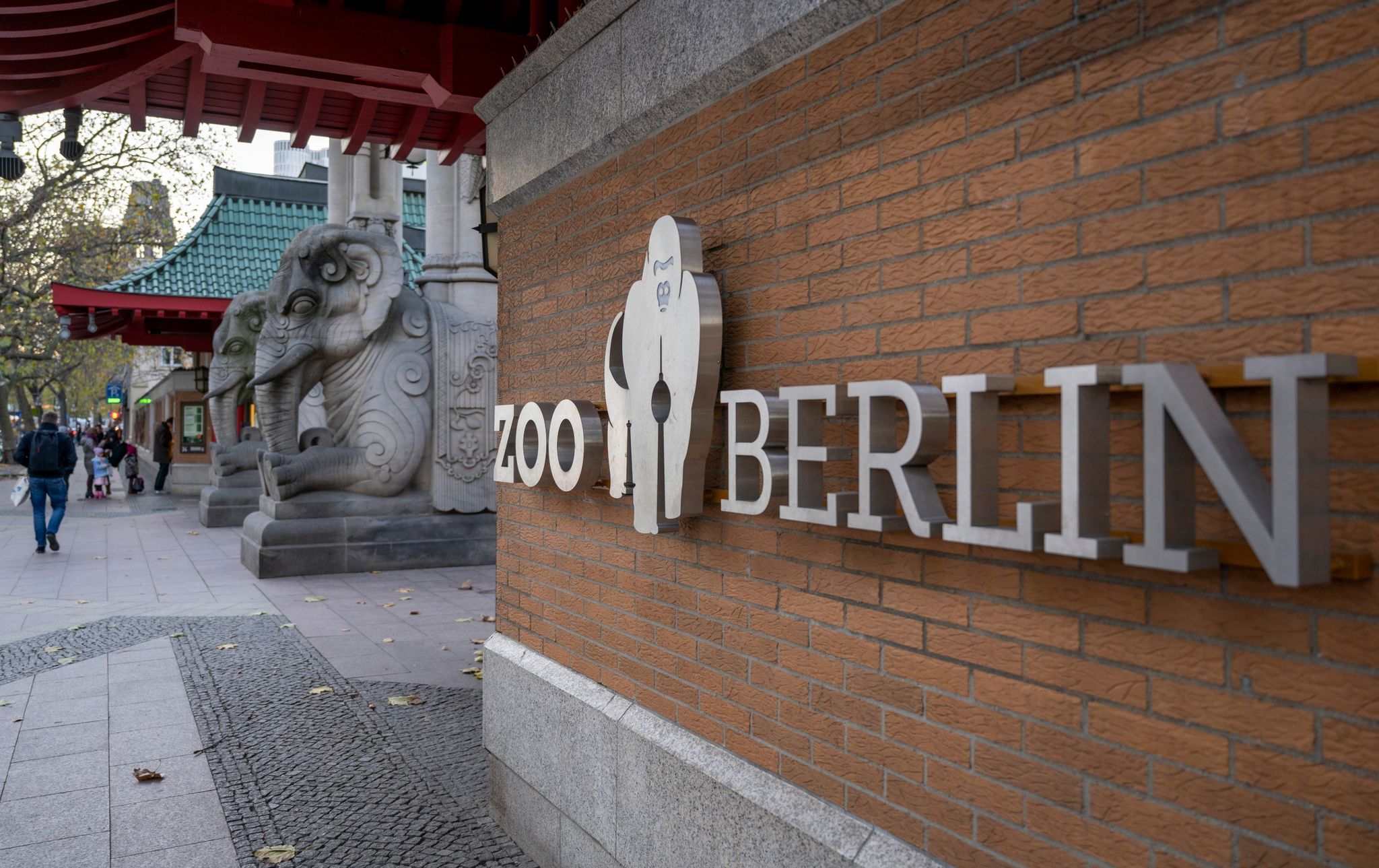 Berliner Zoo Ist Wieder Offen: Worauf Besucher Achten Müssen