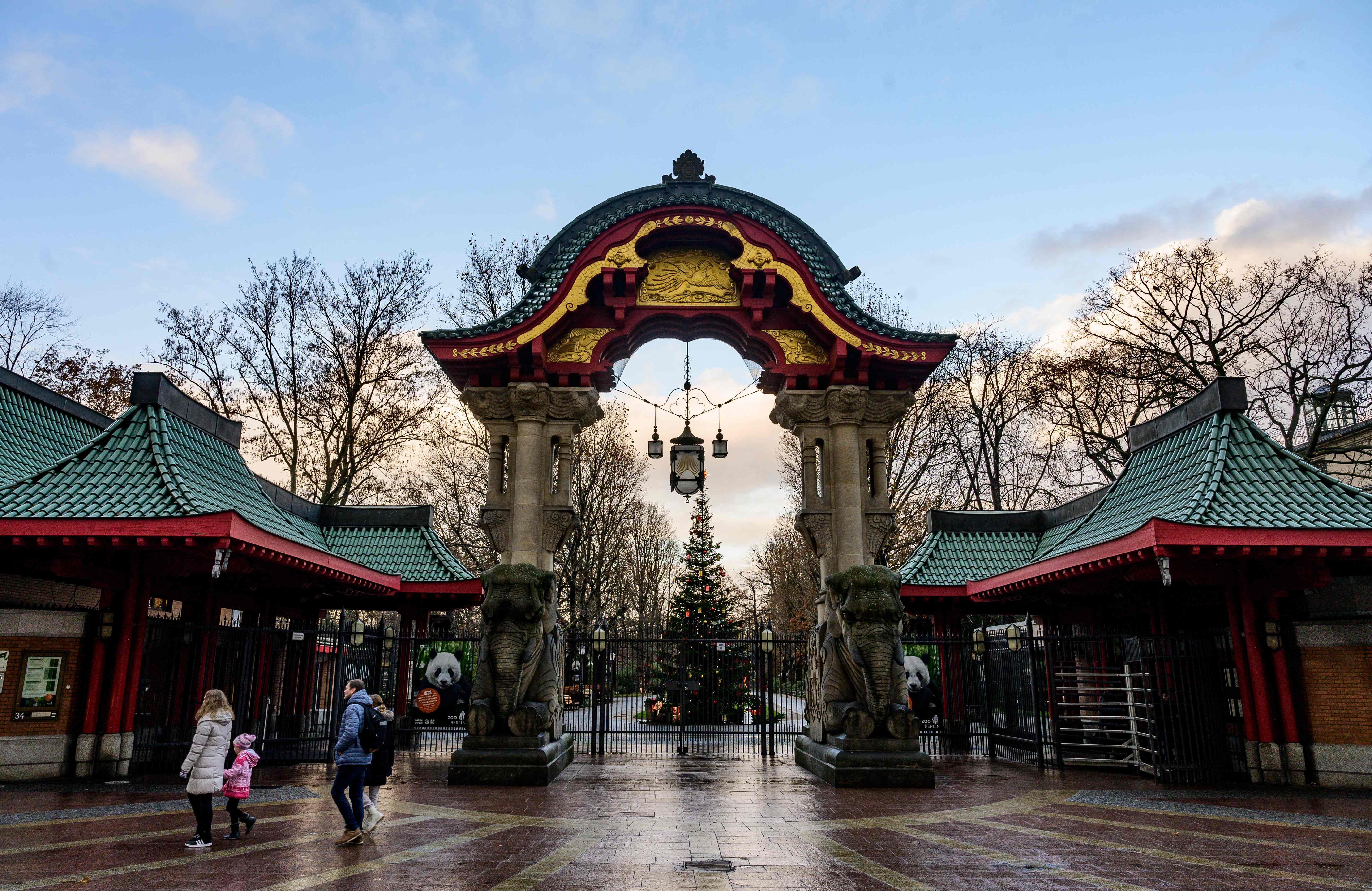 Image - Nach einem Monat Schließung: So viel kostete die Vogelgrippe den Zoo