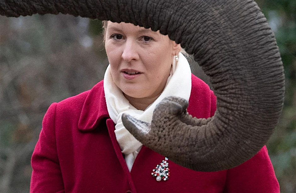Berlins Regierende Bürgermeisterin Franziska Giffey (SPD) füttert im Zoo einen Elefanten.  