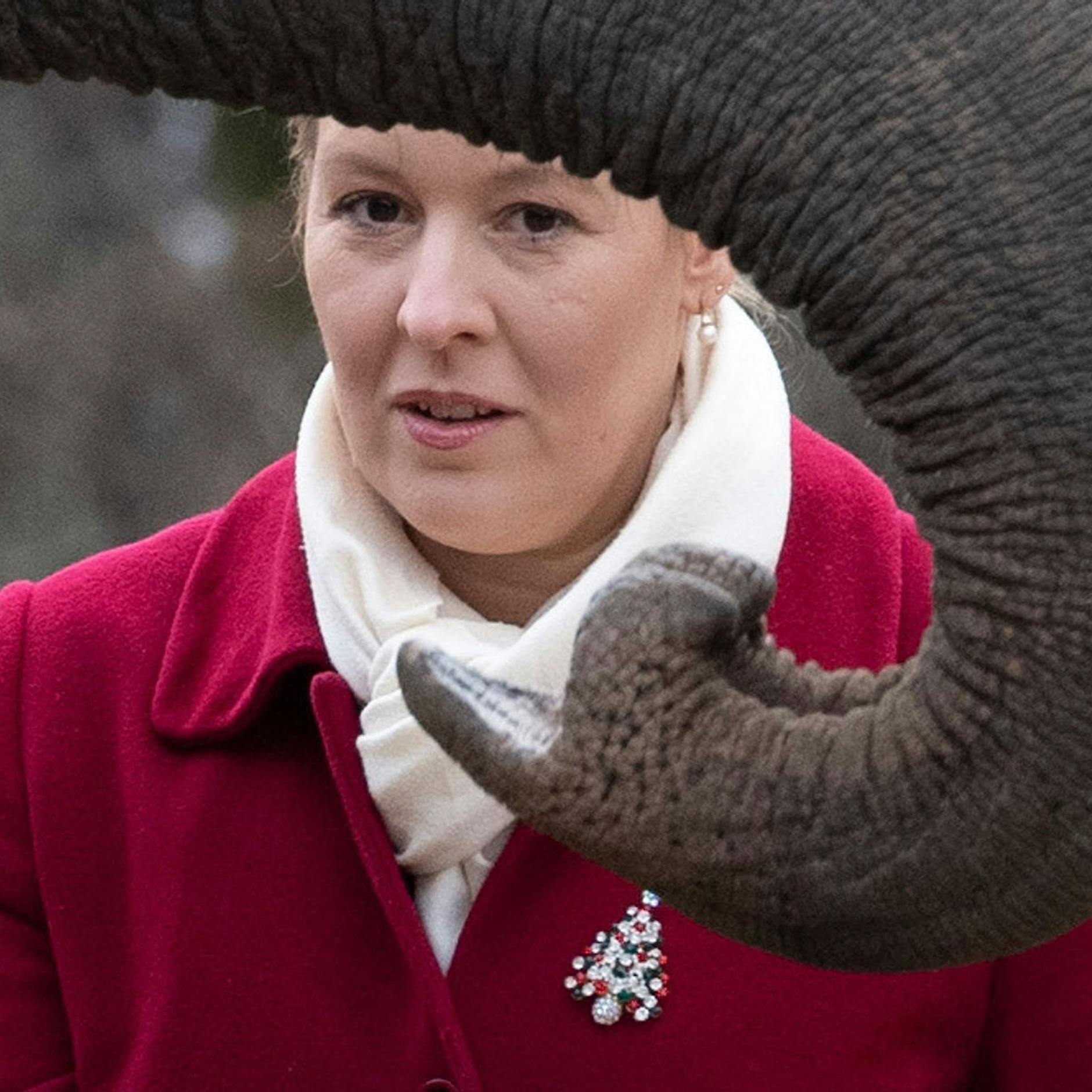 Berliner Zoo nach Vogelgrippe-Fall wieder geöffnet