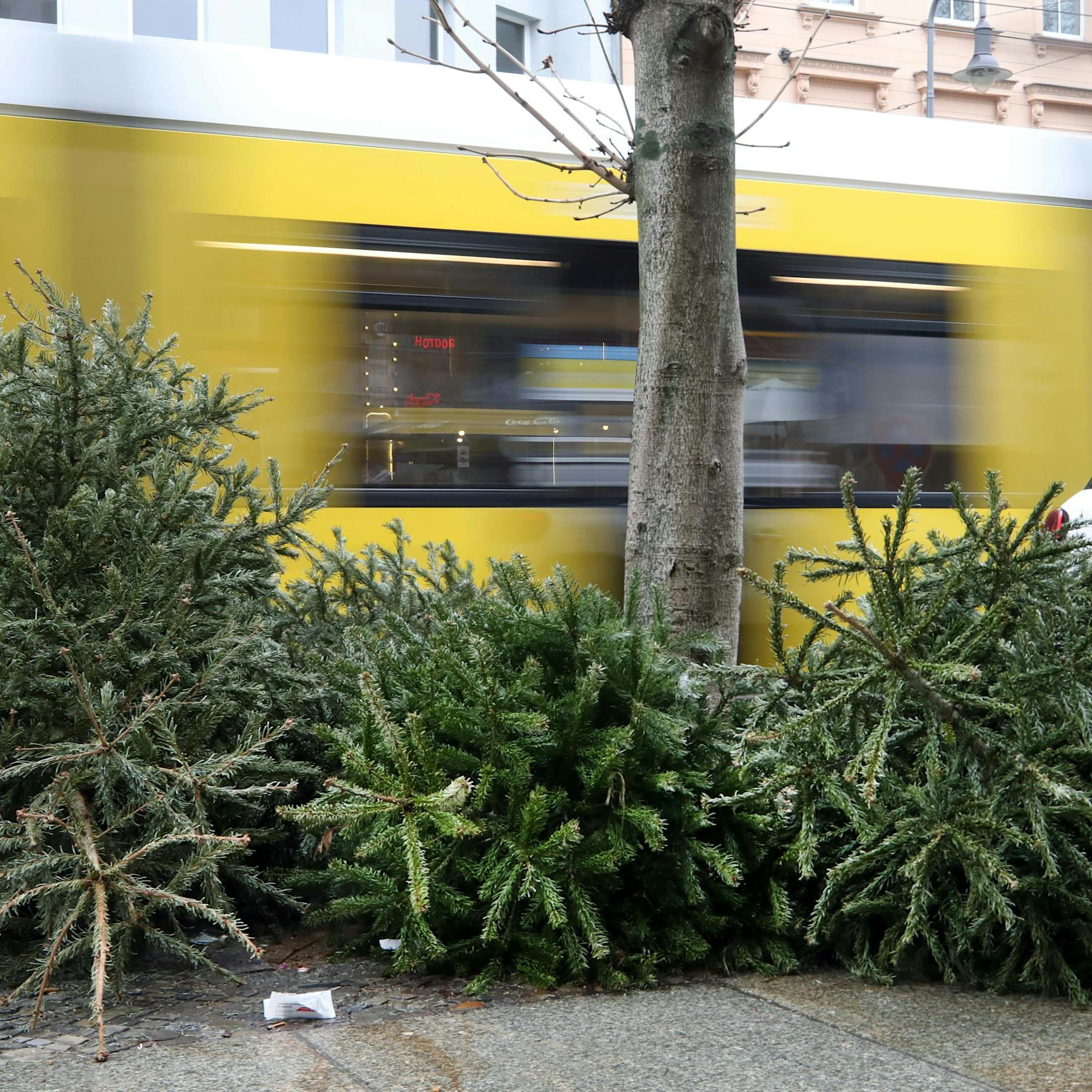 Alle Bezirke, alle Termine: Wann werden in Berlin die Weihnachtsbäume abgeholt?
