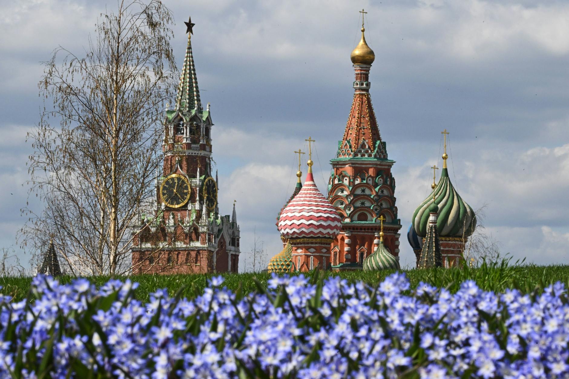 Blumen im Zaryadye Park, im Hintergrund die Basilius-Kathedrale.