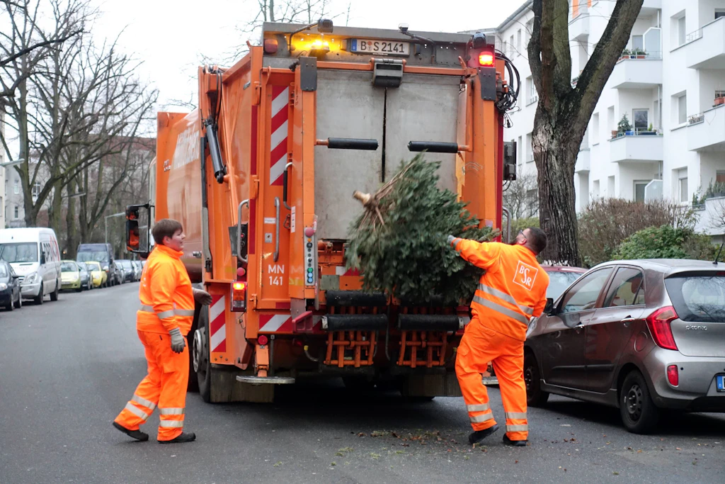 Berlin: BSR sammelt ab heute in allen Bezirken die Weihnachtsbäume ein – die Termine