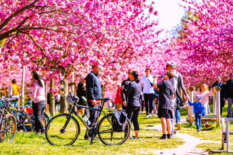 Pfingsten 2024 Berlin Veranstaltungen | Tipps Ideen Tickets