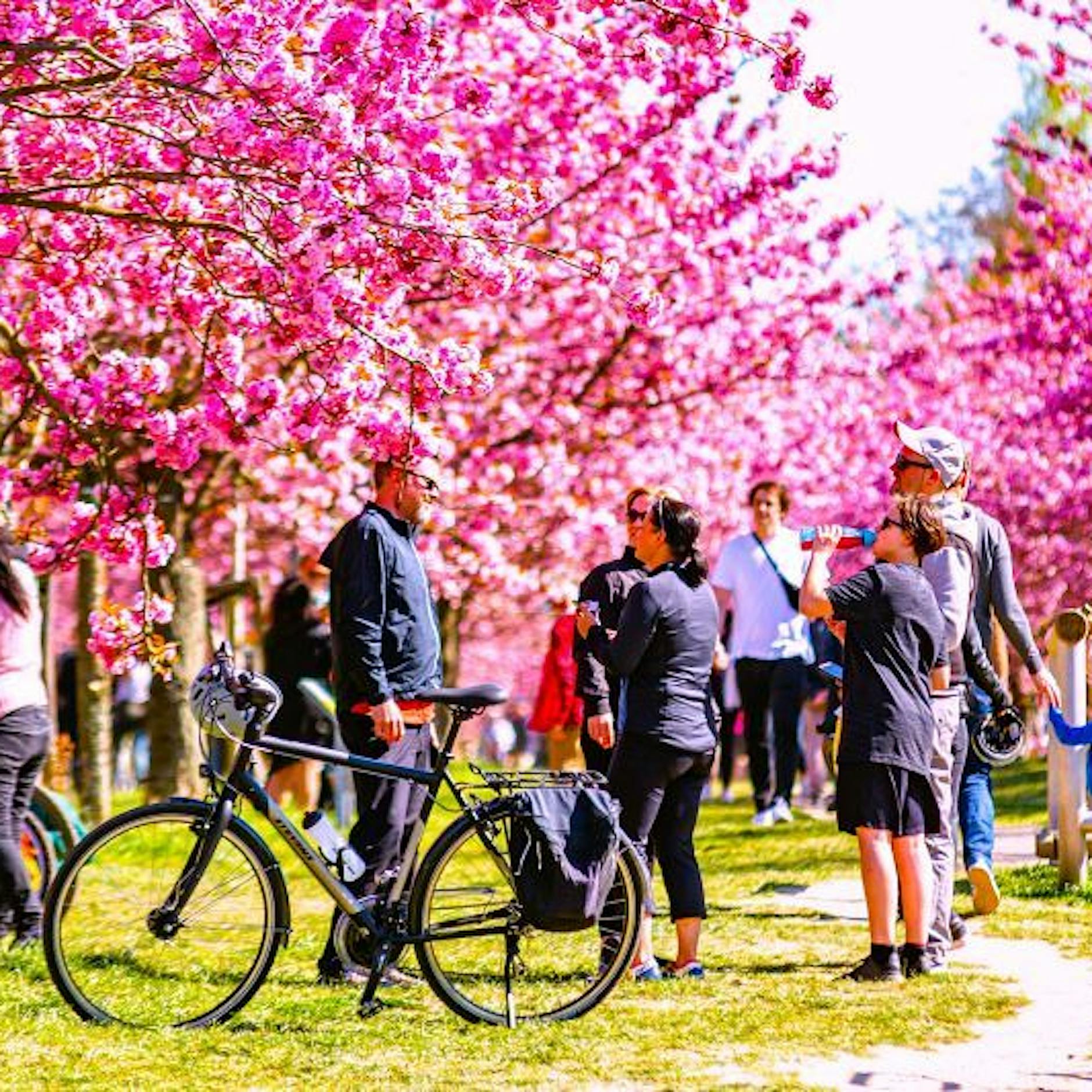 Pfingsten 2024 Berlin Veranstaltungen | Tipps Ideen Tickets