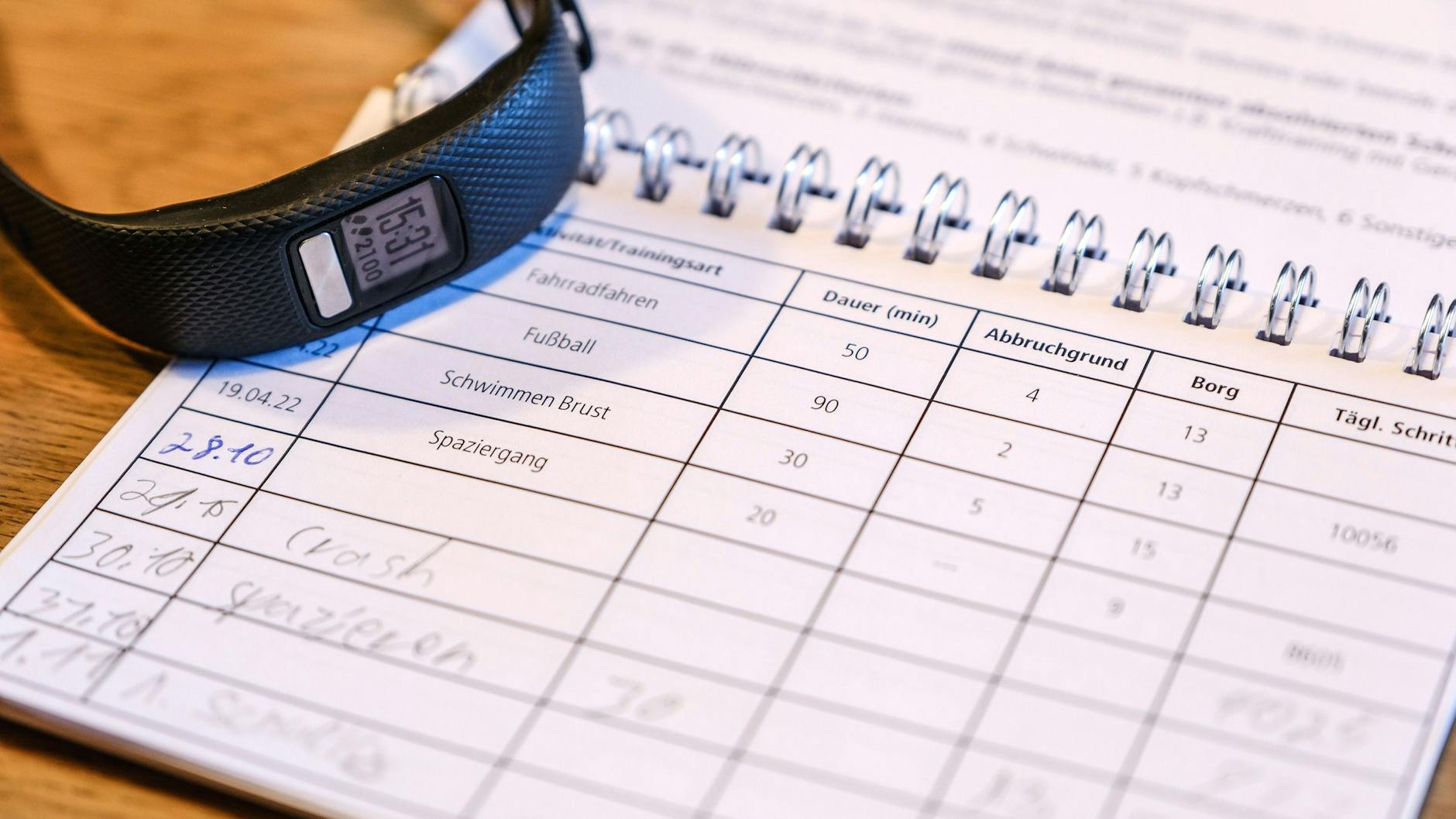 Das Trainingstagebuch von Johan