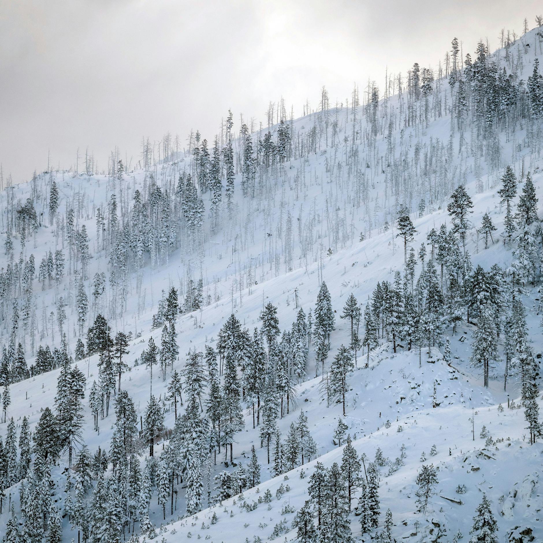 Eis, Schnee und Kälte! Irre Wetter-Prognosen zum Davonlaufen, aber erstmal gab's einen Regen-Zauber über Berlin