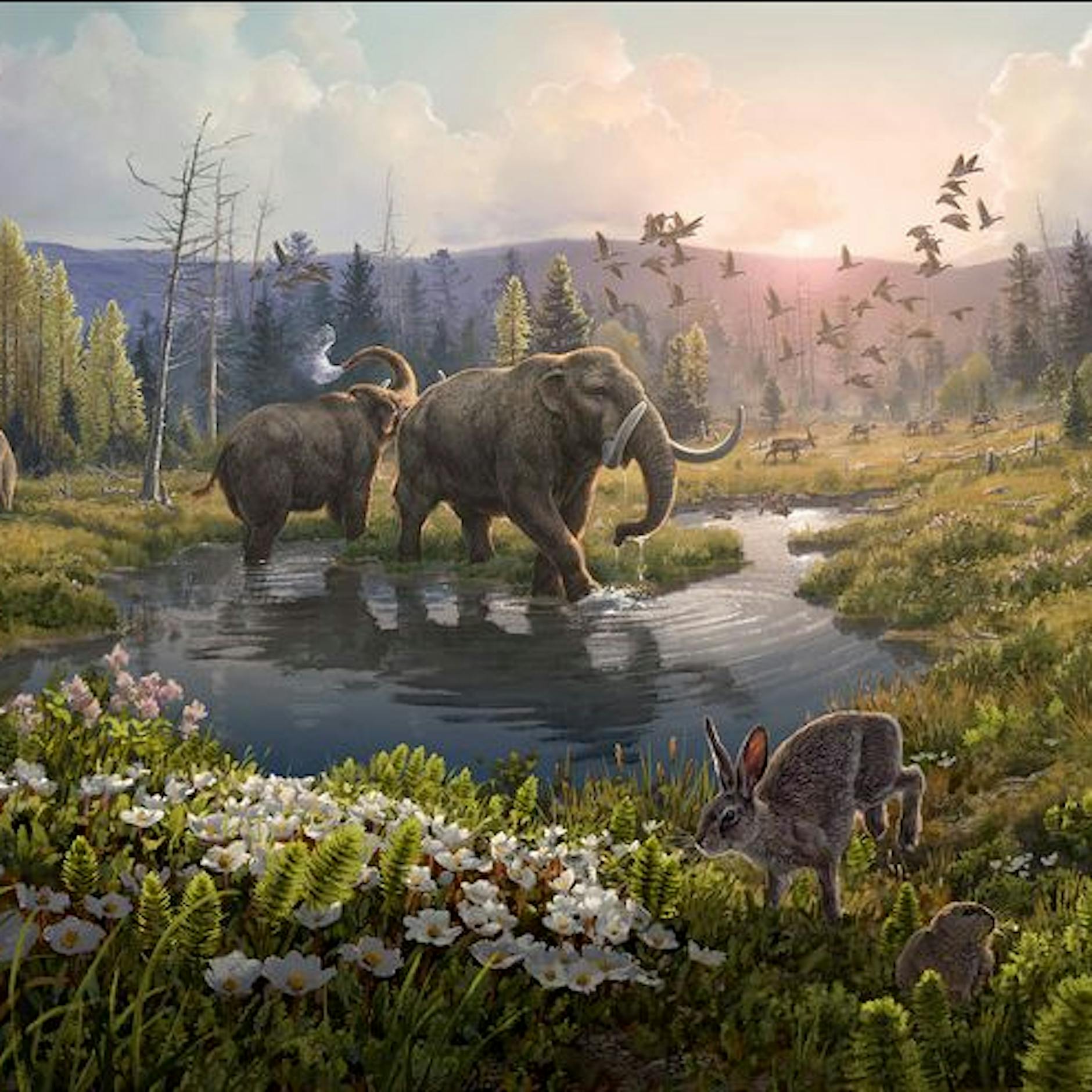 Zwei Millionen Jahre altes Erbgut: Uralte Welt in Grönland wiederentdeckt