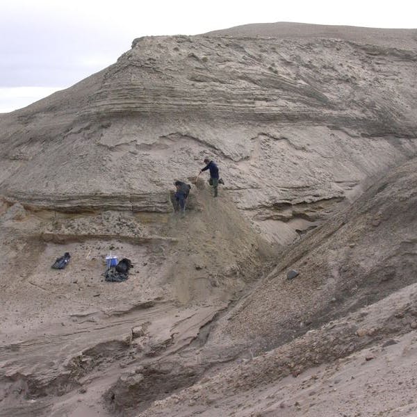 Die Forscher in der Kap-København-Formation im Norden Grönlands, wo das Erbgut gefunden wurde.