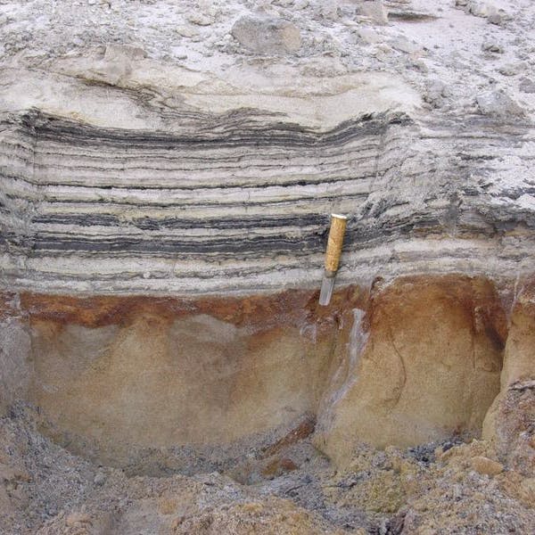 Die organischen Schichten in Küstenablagerungen Nordgrönlands zeigen Spuren der Artenvielfalt von vor zwei Millionen Jahren.