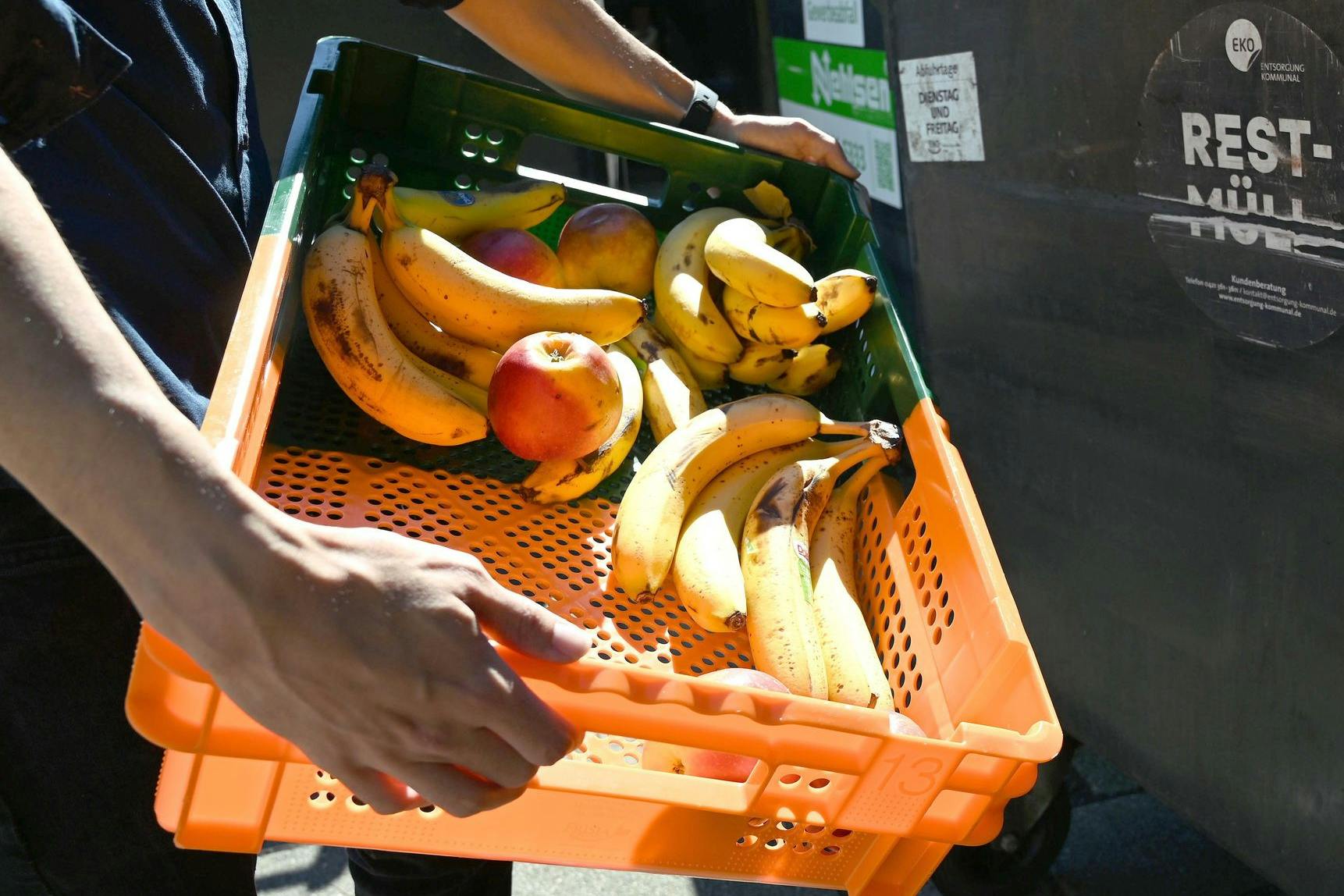 Ist Containern bald legal?