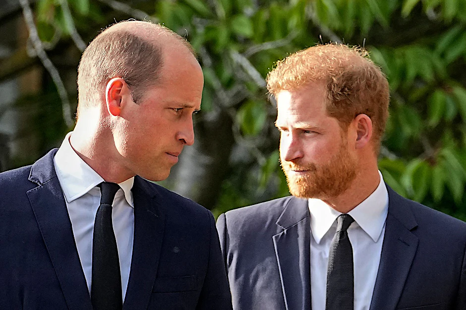 Offenbar nicht immer ein Herz und eine Seele: Prinz William (l.) und sein abtrünniger Bruder Harry, der seine Biografie verfasst hat.