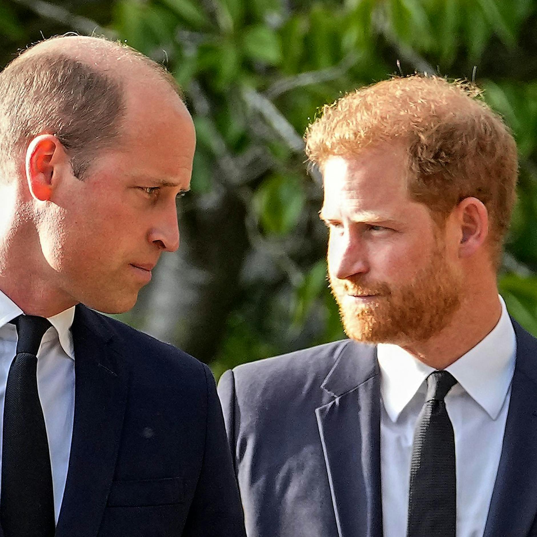 Image - Bericht: Prinz Harry wirft Bruder William körperlichen Angriff vor