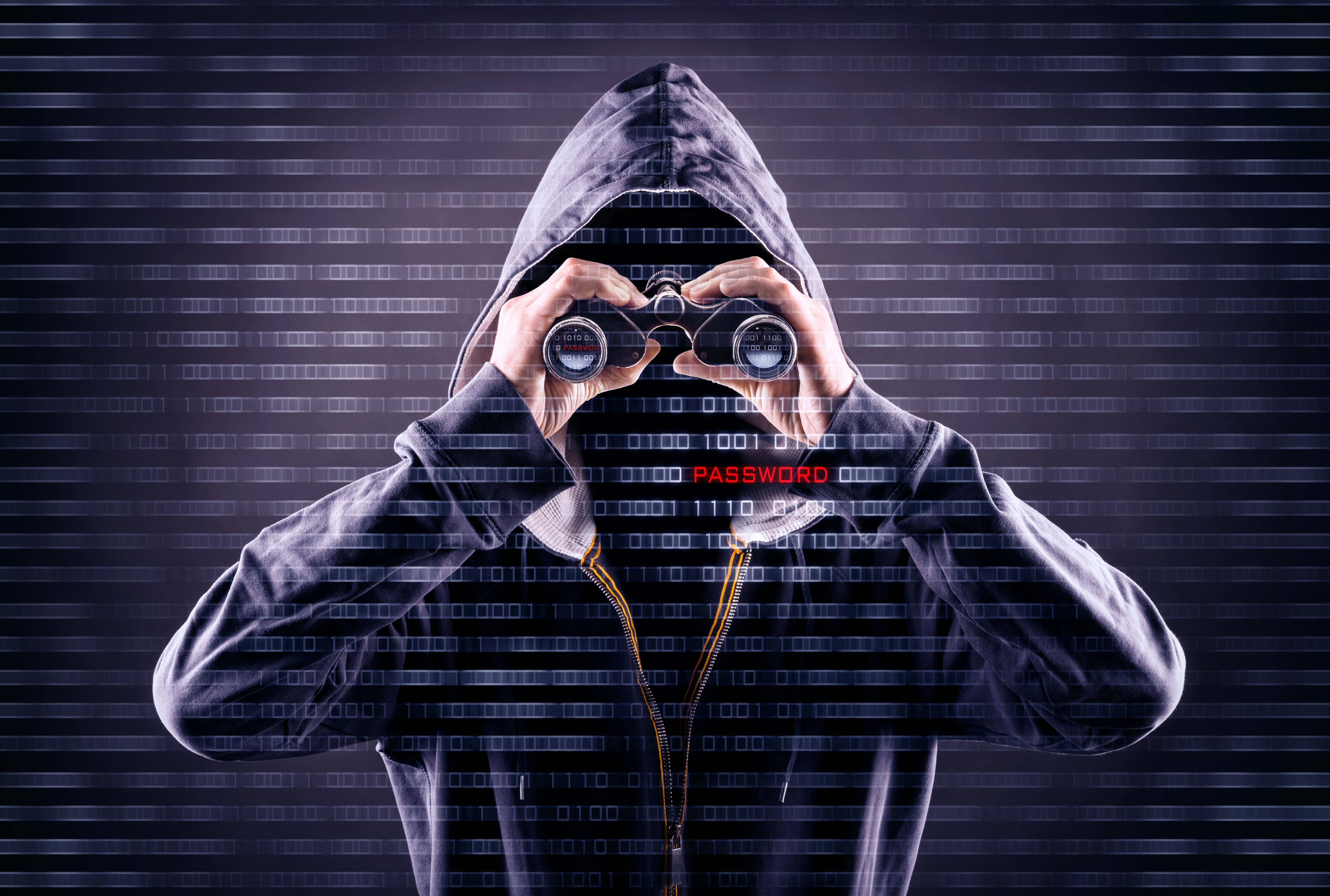 Verfassungsschutz: Ausländische Spione spähen deutsche Energienetze aus +++ Warnung vor Anschlägen