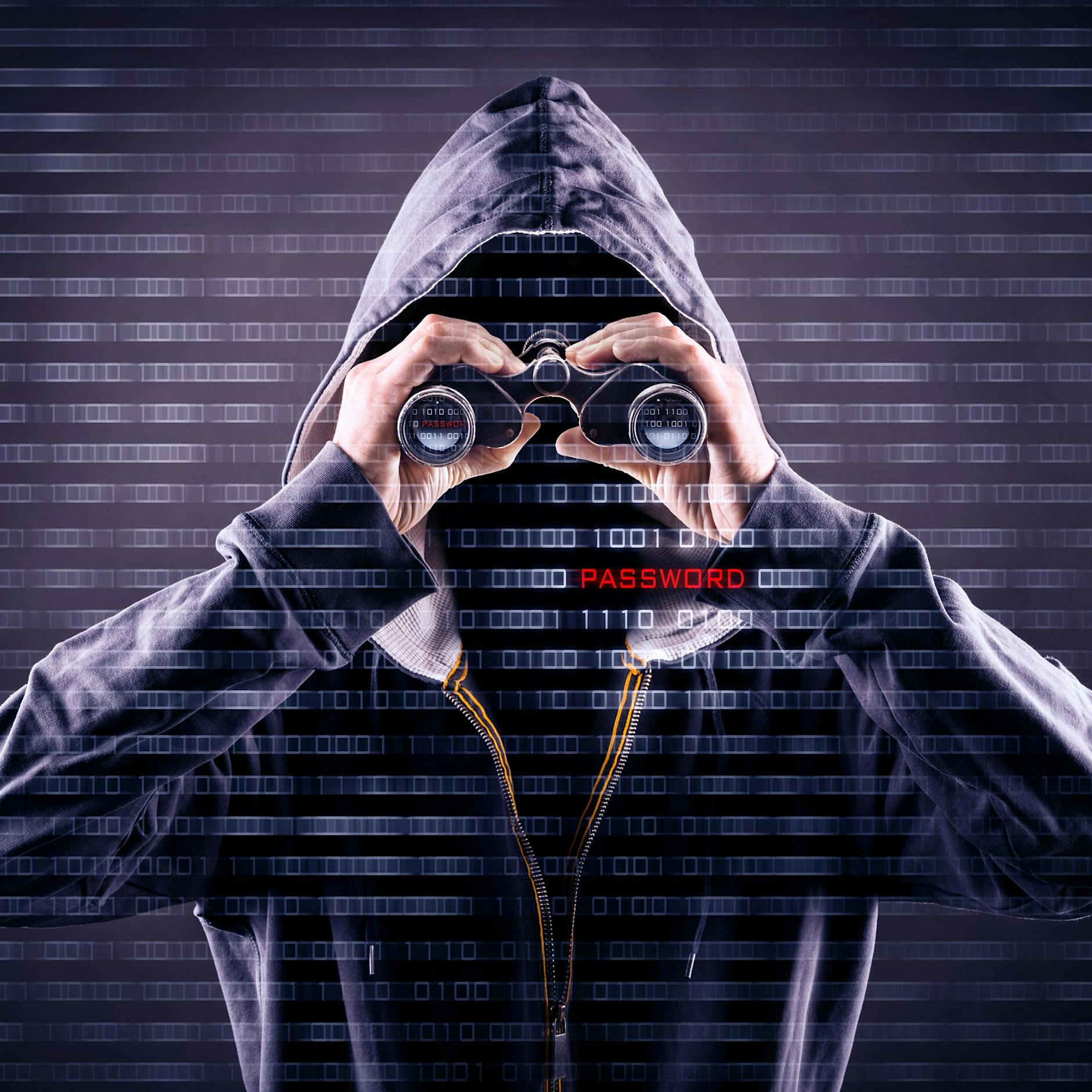 Verfassungsschutz: Ausländische Spione spähen deutsche Energienetze aus +++ Warnung vor Anschlägen