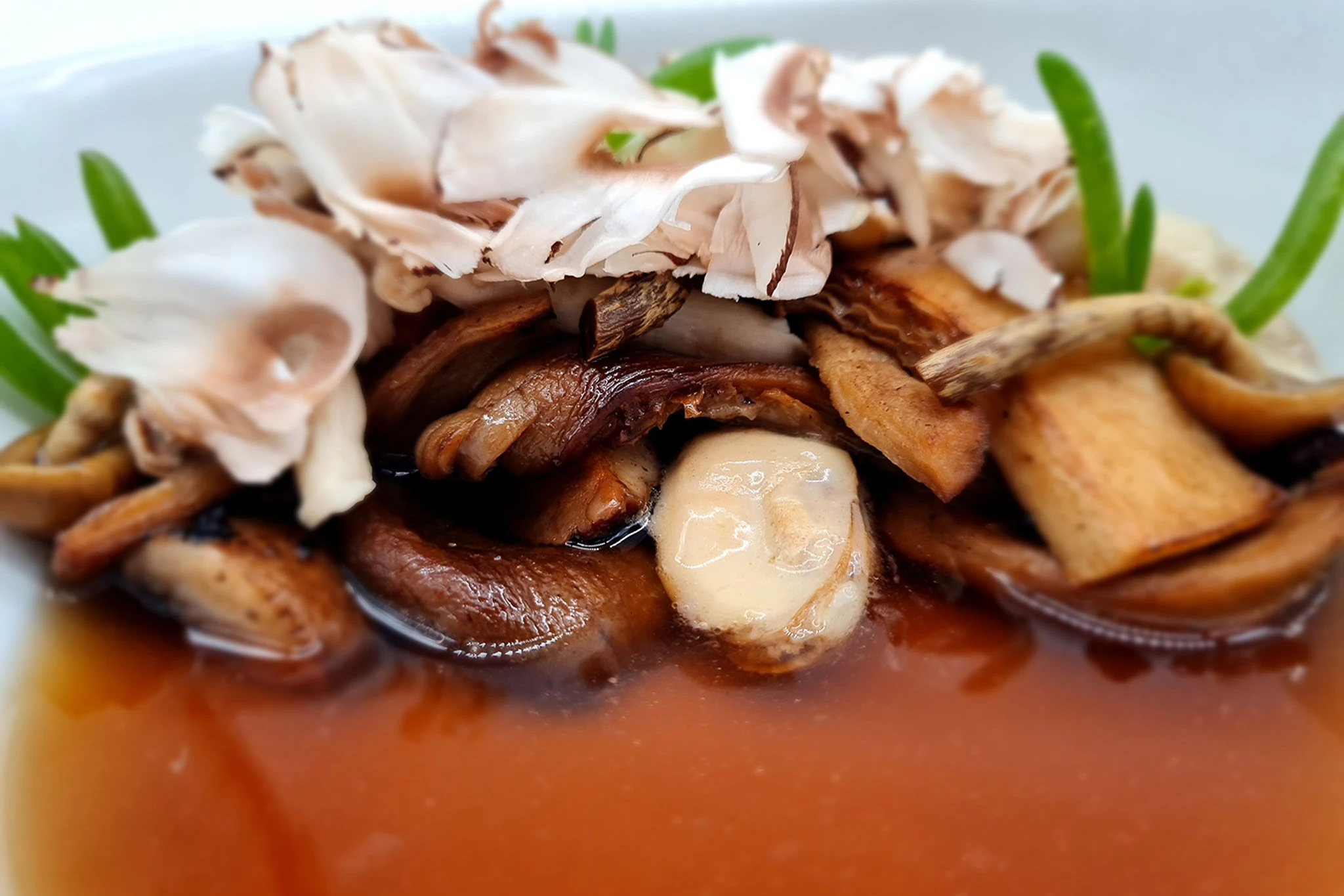 Die Pilze werden  im Altbaukeller unter dem Restaurant auf Moosboden angebaut.