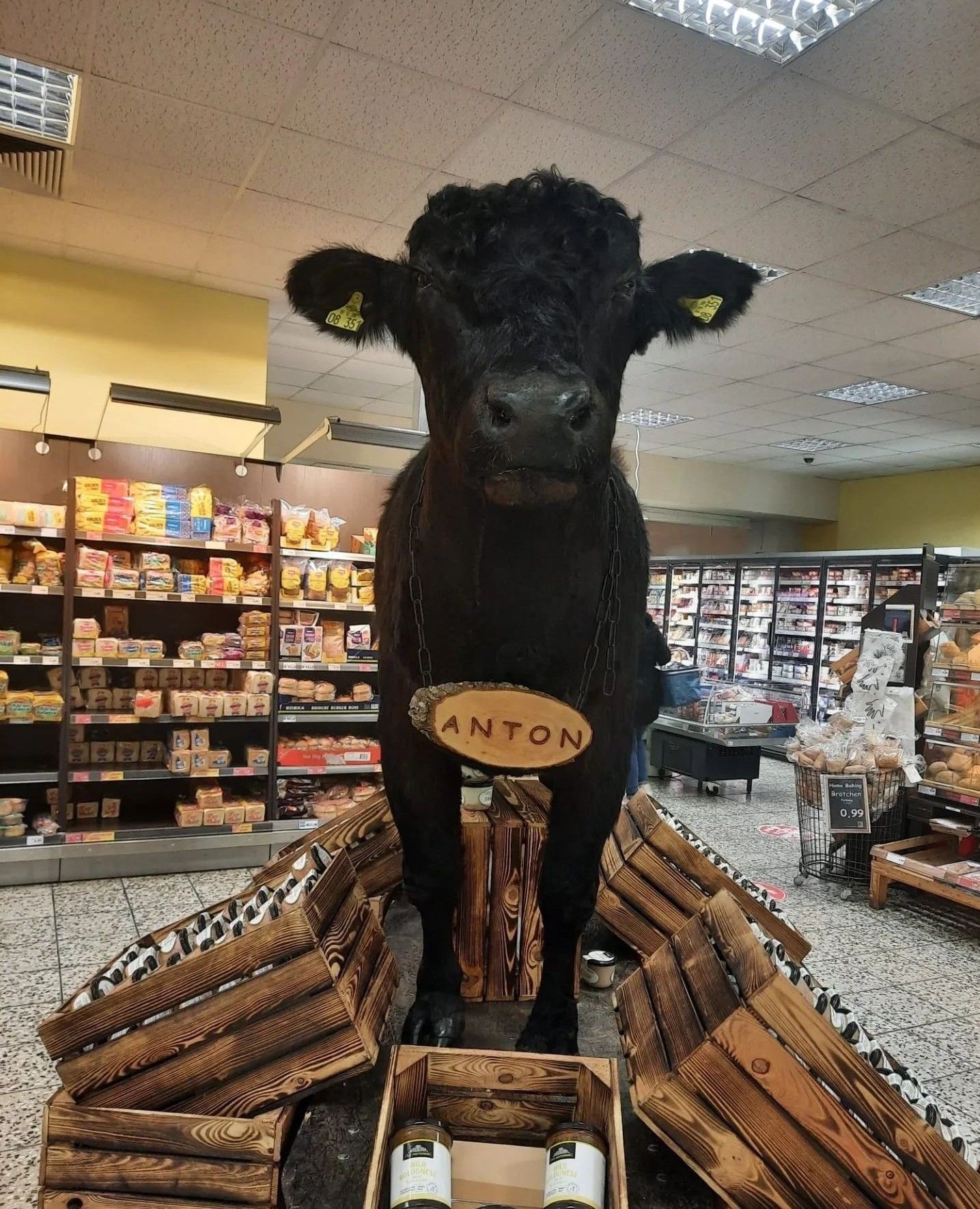 Ausgestopftes Rind in Fleischabteilung löst Shitstorm gegen Supermarkt aus