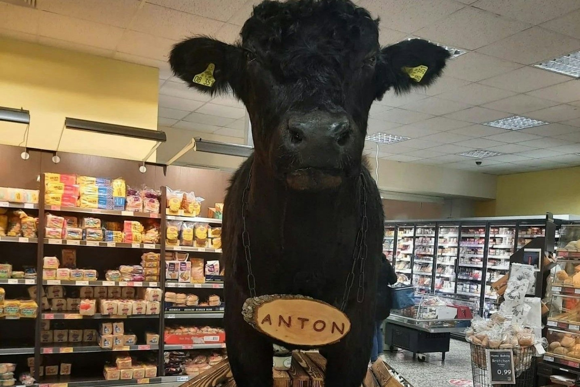 Die ausgestopfte Kuh erregt die Gemüter von Veganern und Vegetariern.