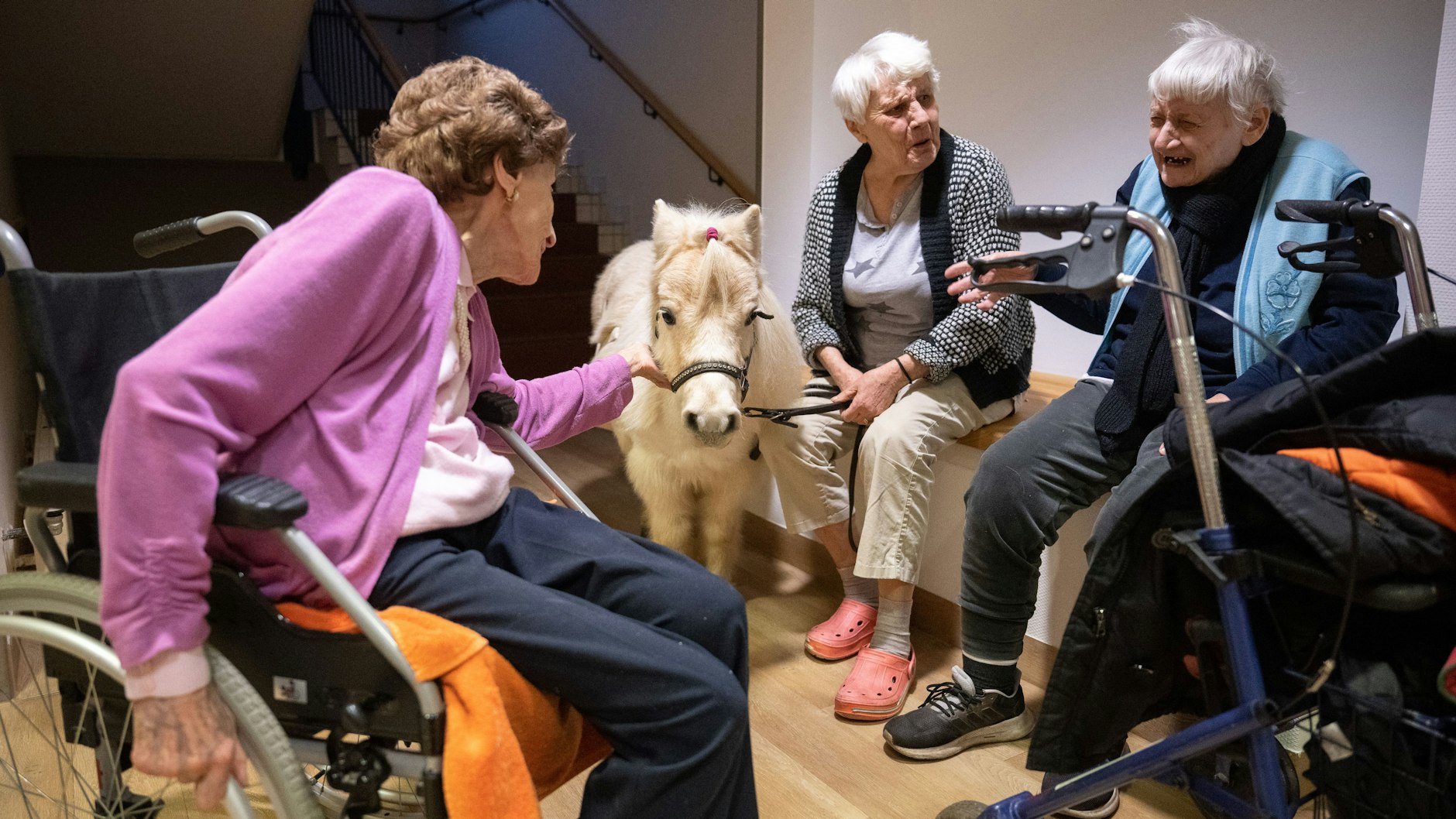  Bewohnerinnen sitzen in der Pflegeeinrichtung Bürgermeister-Gräf-Haus rund um das Shetland-Pony Toffee. 