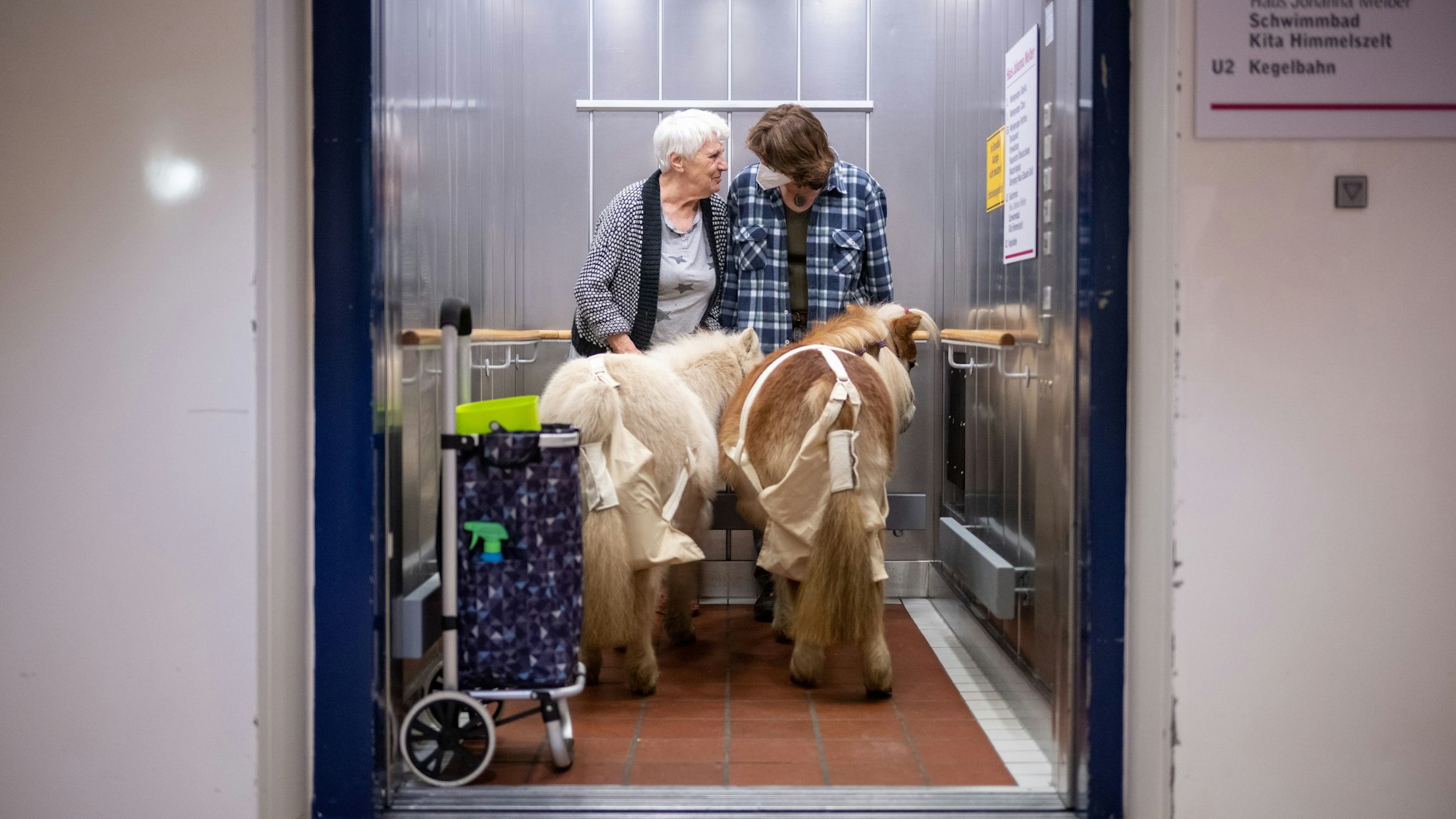 Bewohnerin Christine Müller (l.) und Andrea Tigges-Angelidis stehen mit den Shetland-Ponys Toffee und Paulinchen im Aufzug.