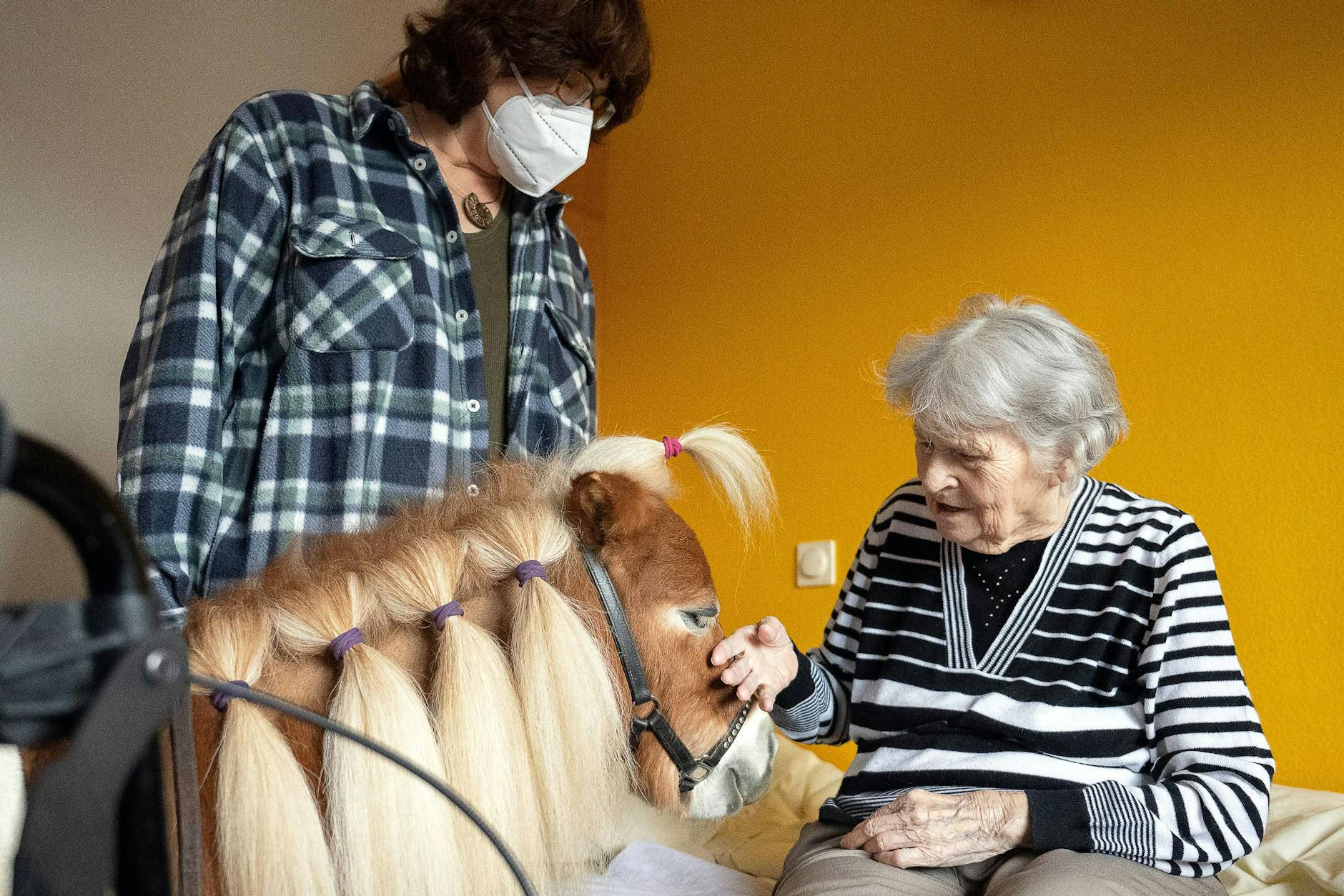 Eine Bewohnerin streichelt in der Pflegeeinrichtung Bürgermeister-Gräf-Haus das Shetland-Pony Paulinchen.