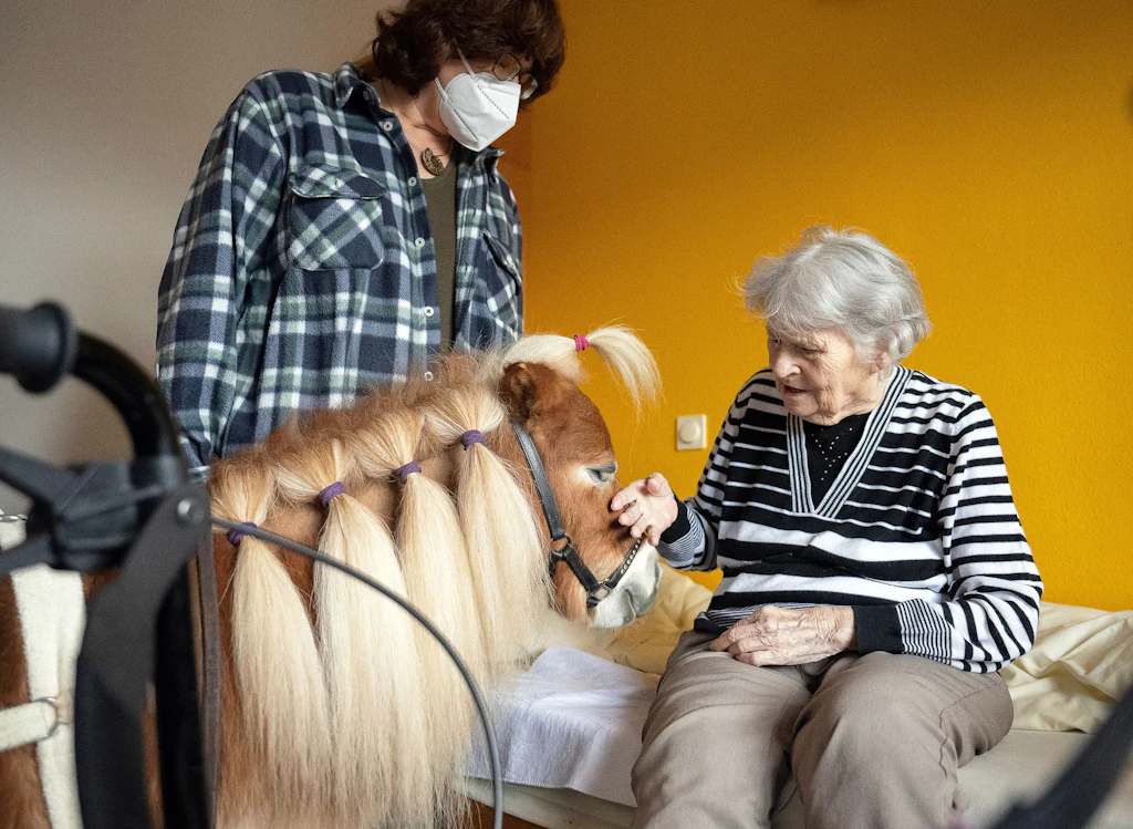 Da steht ein Pferd auf'm Flur! Warum in diesem Pflegeheim regelmäßig zwei Ponys zu Besuch kommen