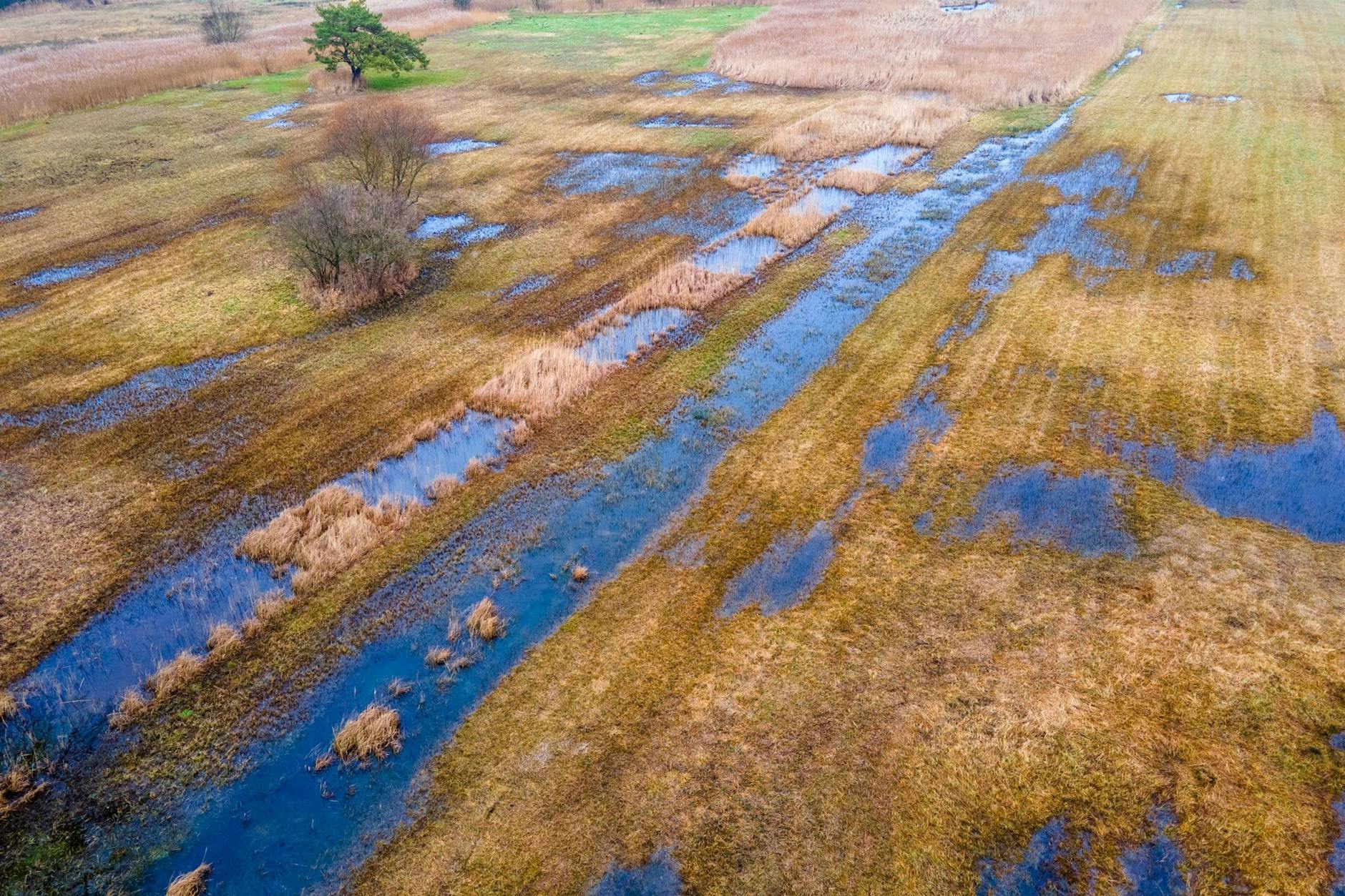 Das rund 36 Hektar große wiedervernässte Hangquellmoor Binsenberg. Trockengelegte Moore stoßen Treibhausgas aus. Ihre Wiedervernässung gilt als wichtige Klimaschutzmaßnahme.