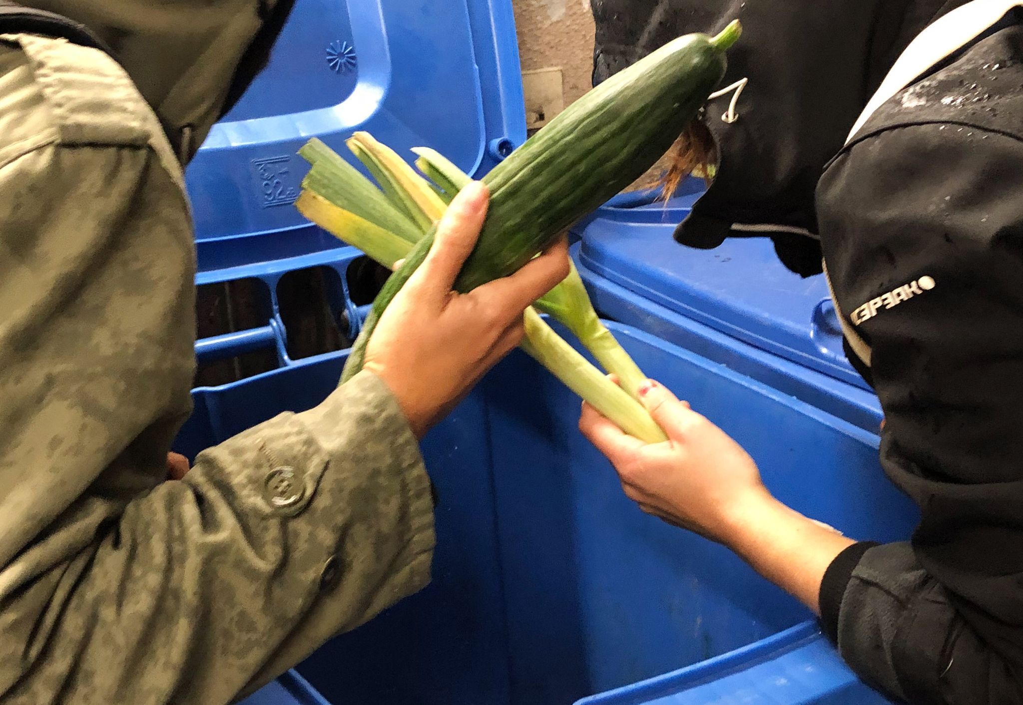 Image - DARUM stemmen sich Lebensmittel-Händler gegen die Legalisierung des „Containerns“