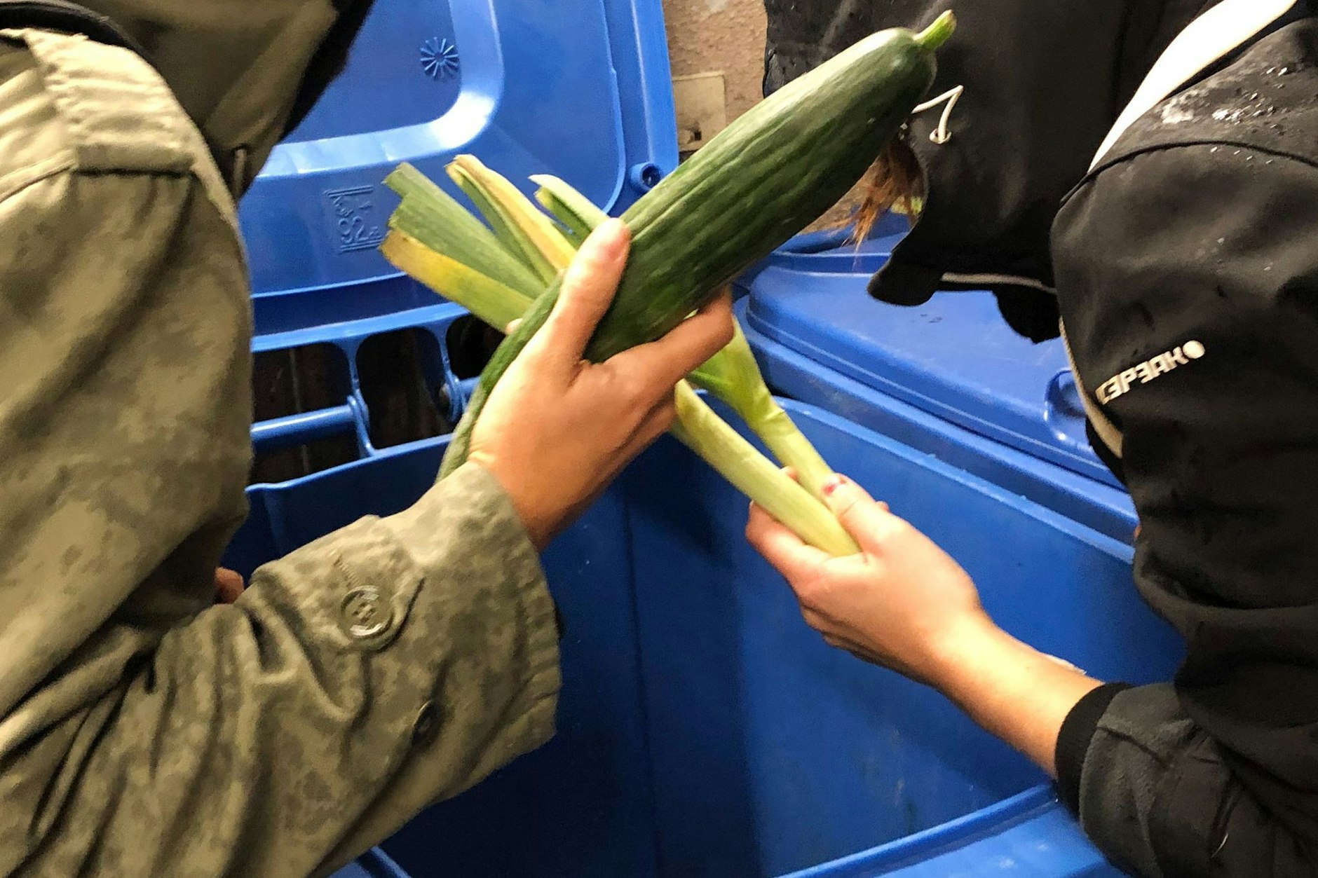 Studenten nehmen weggeschmissene Lebensmittel aus einer Mülltonne.