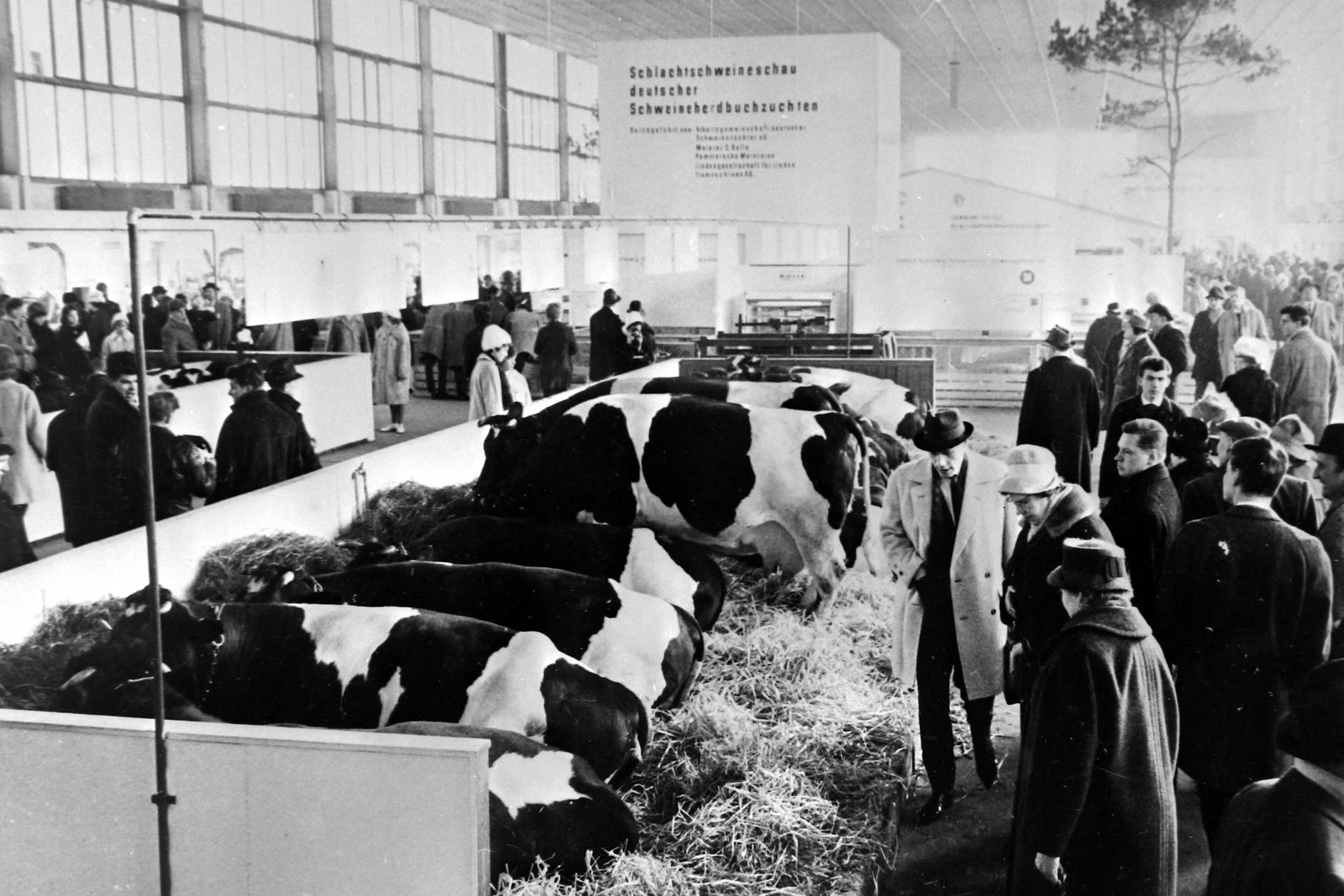 Die Tierhallen waren von Anfang an ein Publikumsmagnet, hier 1963.