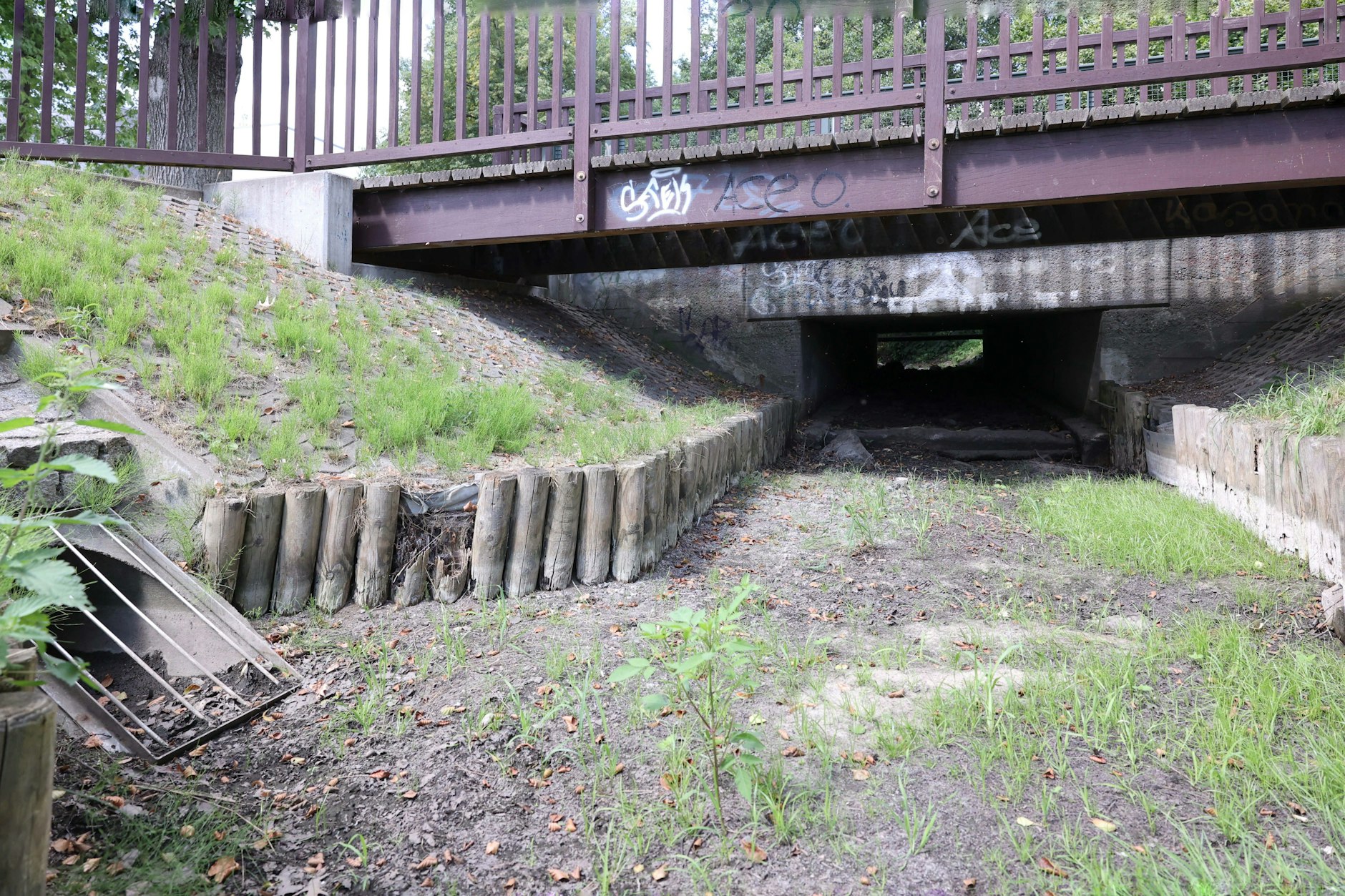 So sah der Oberlauf der Panke im August 2022 aus. Das Flüsschen war ausgetrocknet.