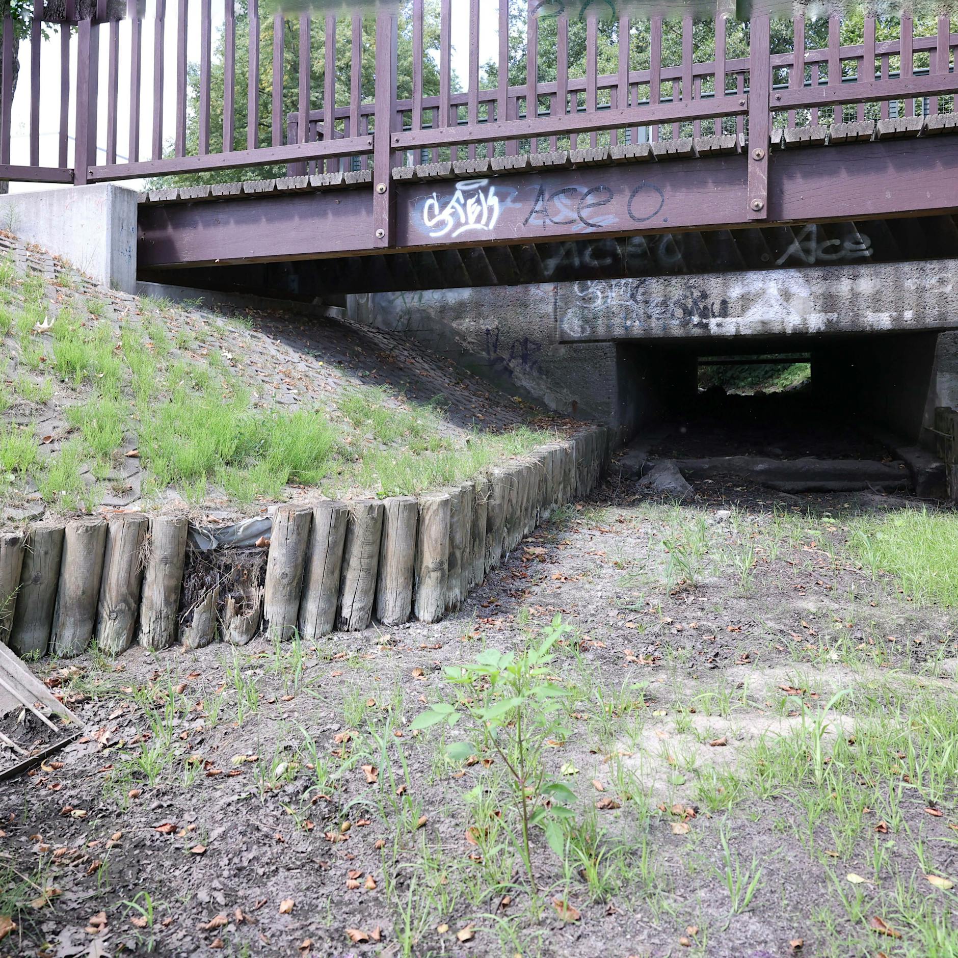 Berlin trocknet aus und kümmert sich zu wenig um seine Gewässer