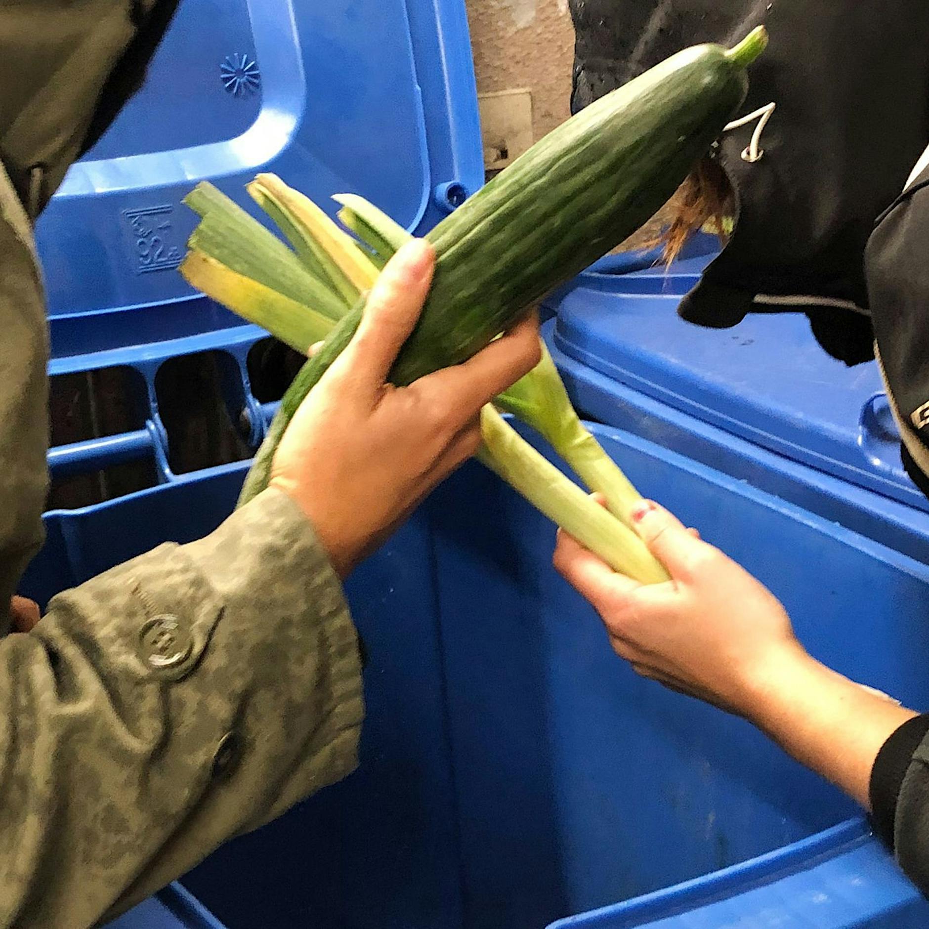 Containern bald legal? Lebensmittel-Verband schlägt Alarm