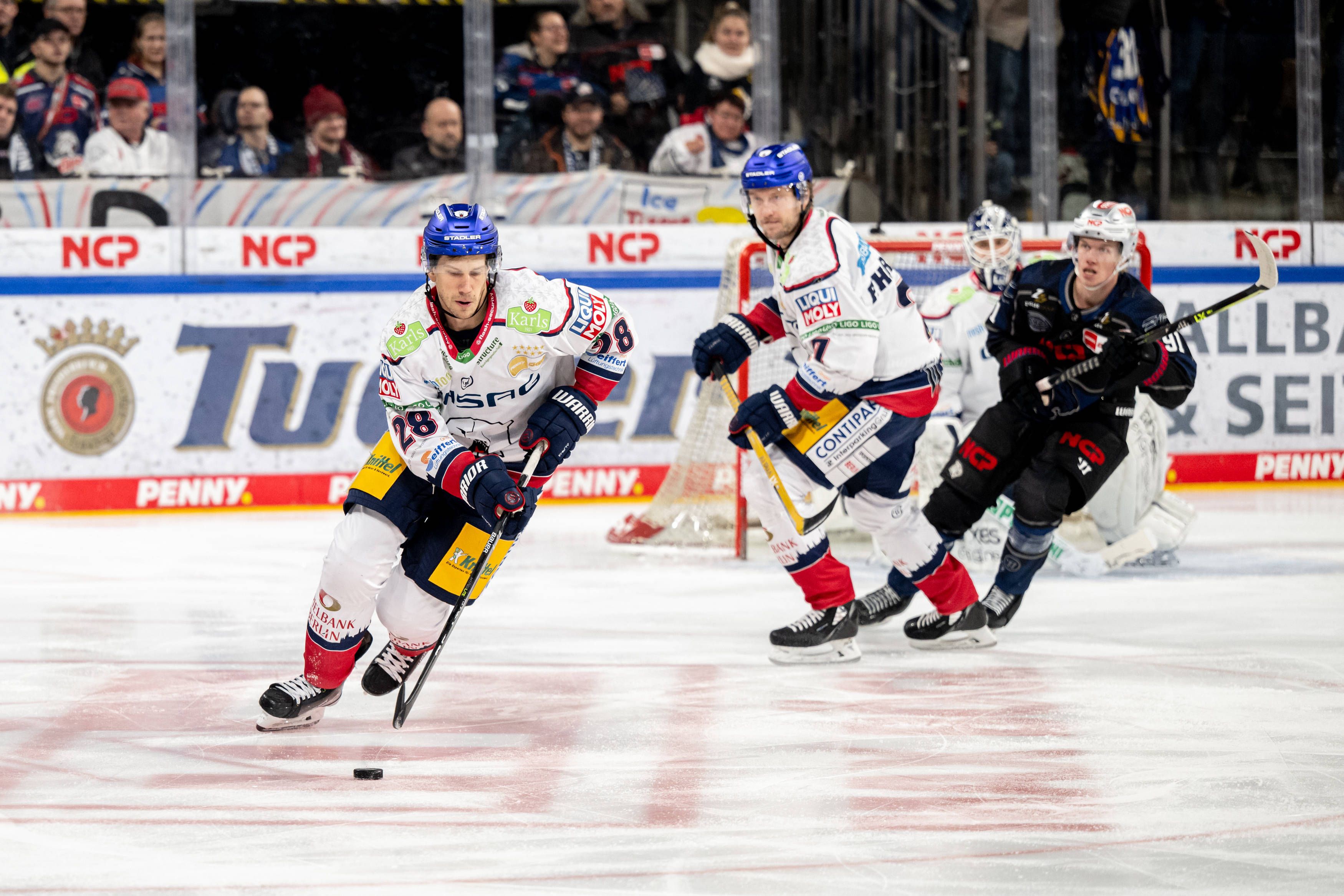Image - Frank Mauers Eisbären-Sieger-Plan gegen Augsburg: kühler Kopf und heiße Hände im Kellerduell
