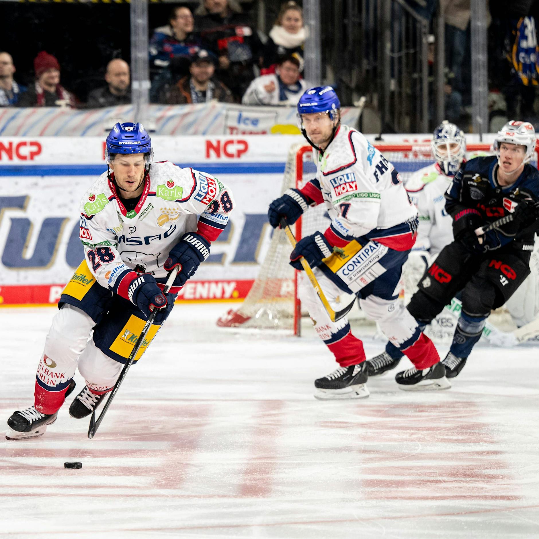 Frank Mauers Eisbären-Sieger-Plan gegen Augsburg: kühler Kopf und heiße Hände im Kellerduell