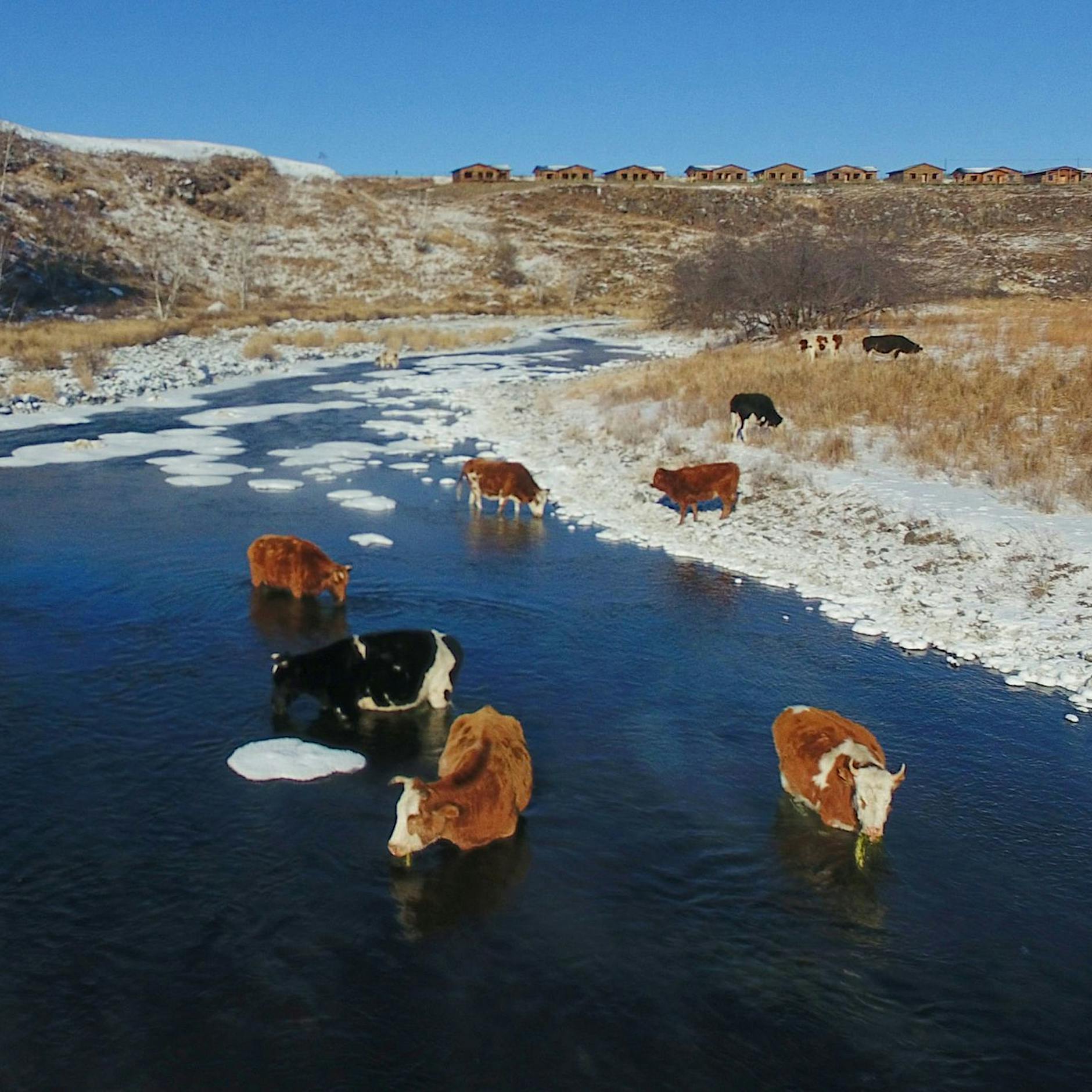 Zu viel Antibiotika in Gewässern Chinas und weiterer Länder